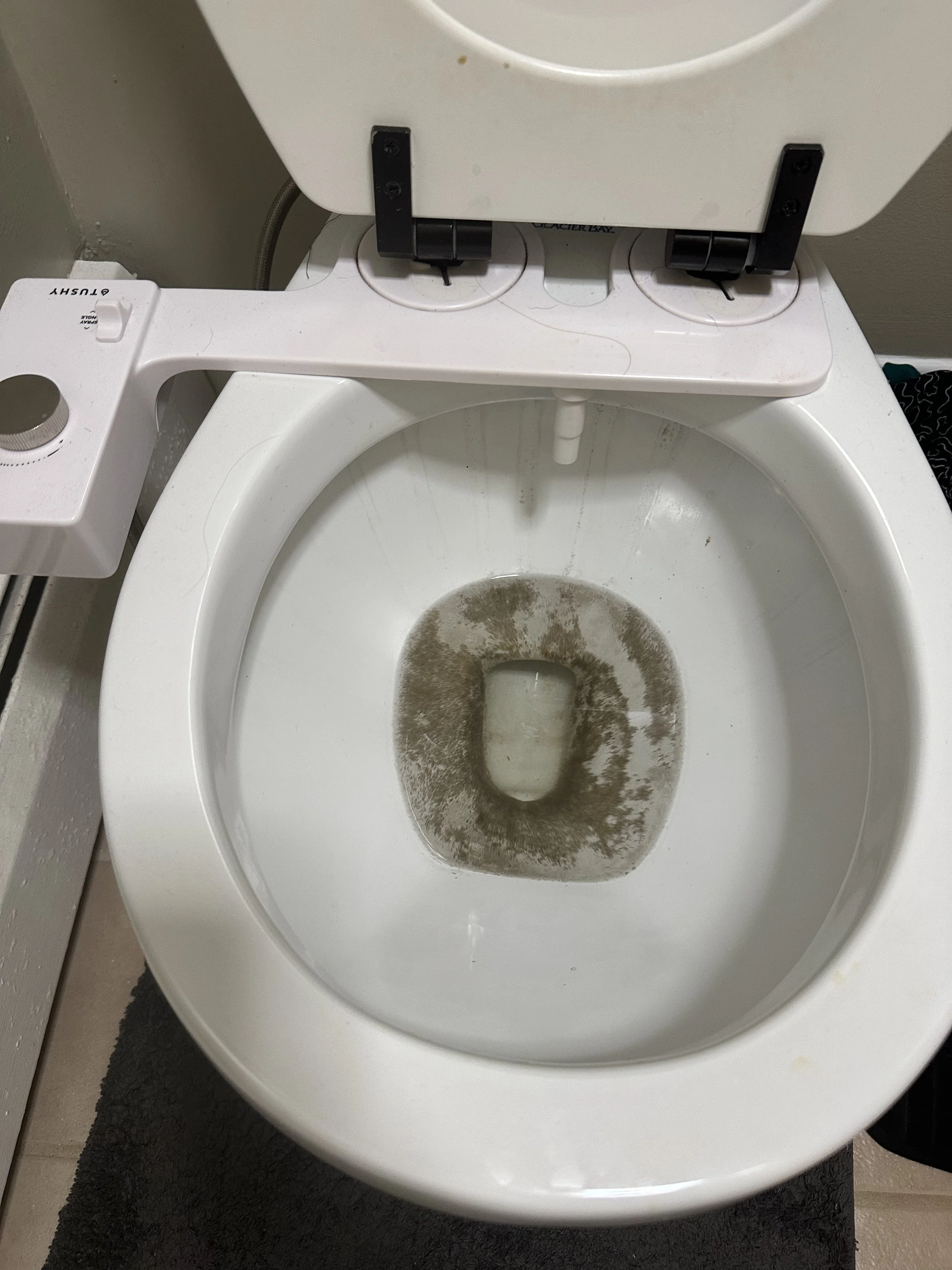 Toilet bowl with visible stains around the waterline and inside the bowl.