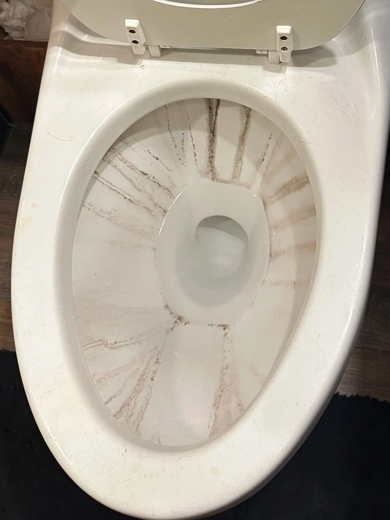 The toilet bowl is stained and dirty, with brown and black streaks inside and around the rim.