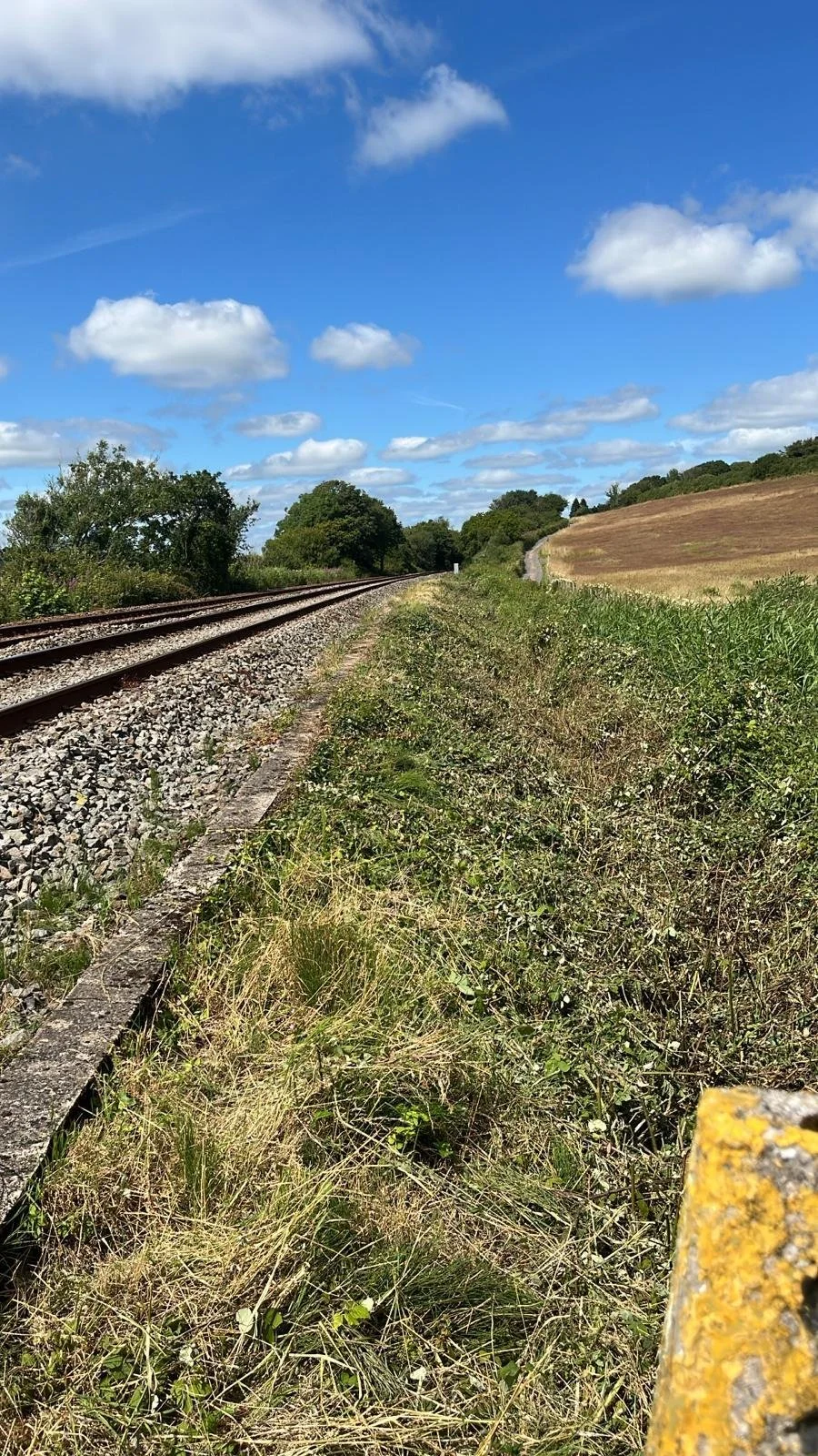 WhatsApp Image 2026-01-29 at 9.25.11 AM.jpeg