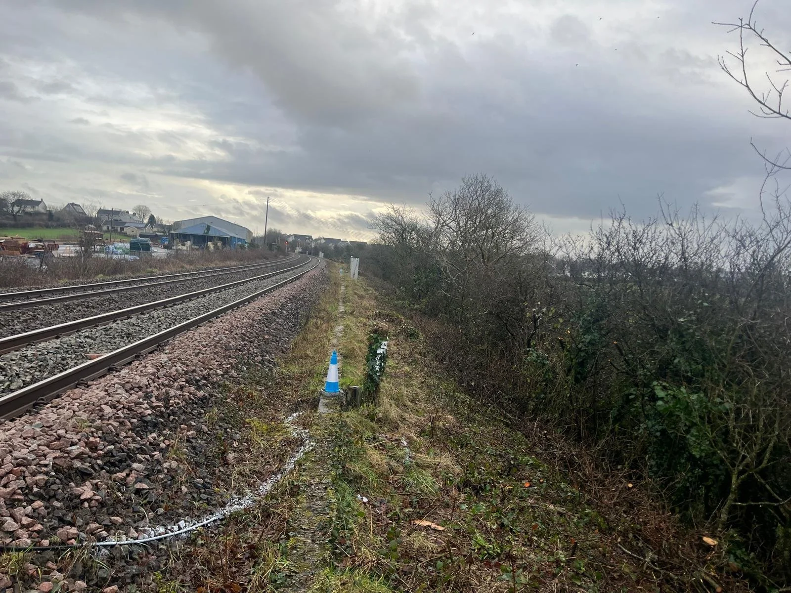 WhatsApp Image 2026-02-10 at 1.49.46 PM (4).jpeg