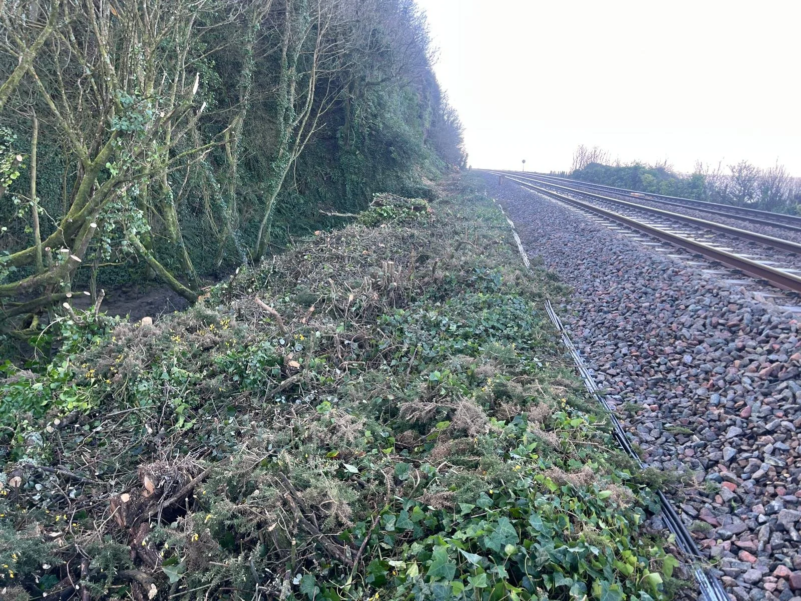 WhatsApp Image 2026-02-10 at 1.49.46 PM.jpeg