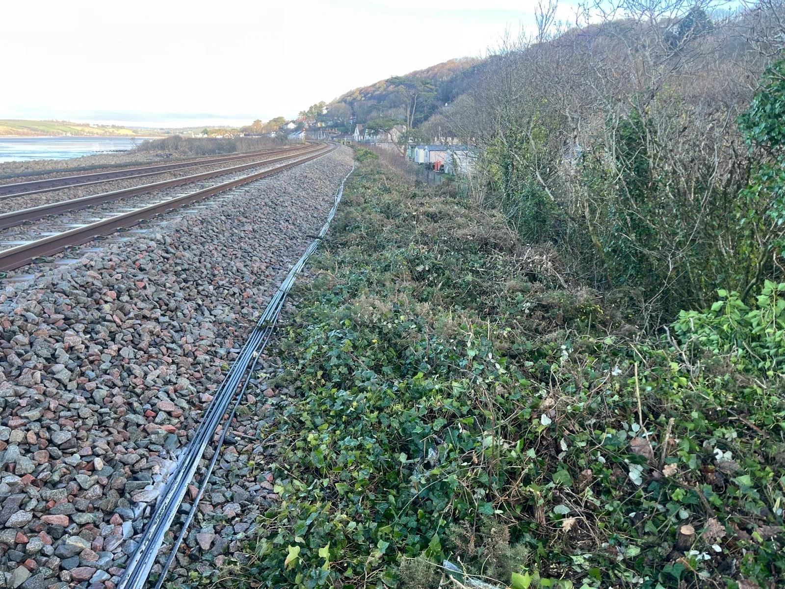 WhatsApp Image 2026-02-10 at 1.49.46 PM (1).jpeg