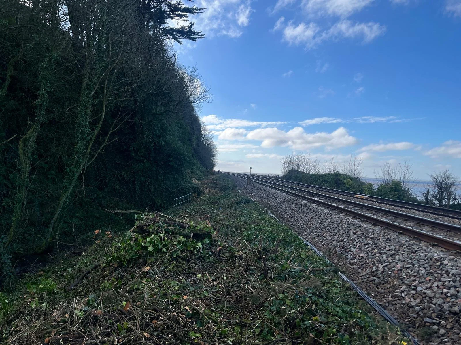 WhatsApp Image 2026-02-10 at 1.49.46 PM (2).jpeg