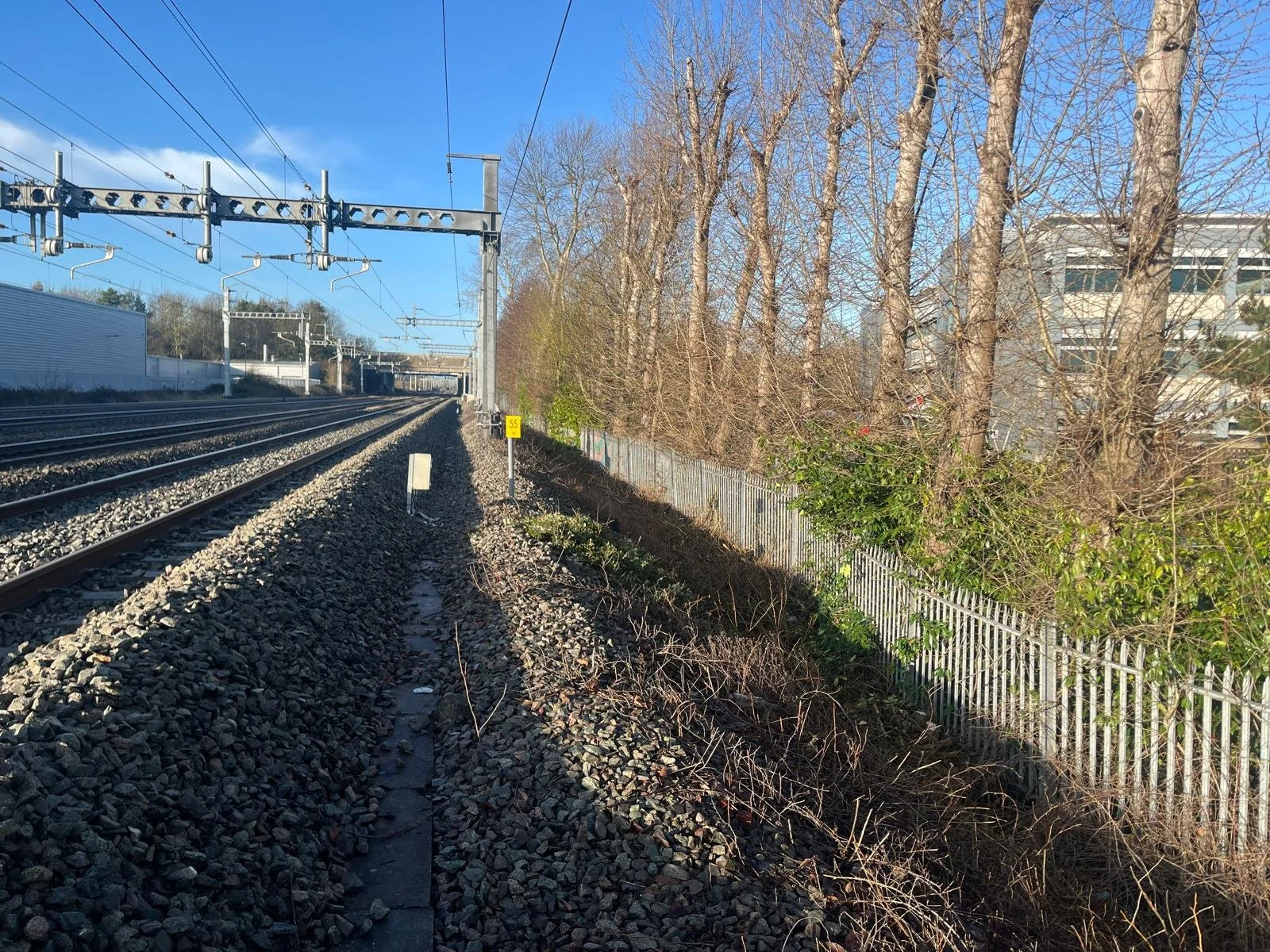 WhatsApp Image 2026-01-29 at 9.12.19 AM000000000.jpeg