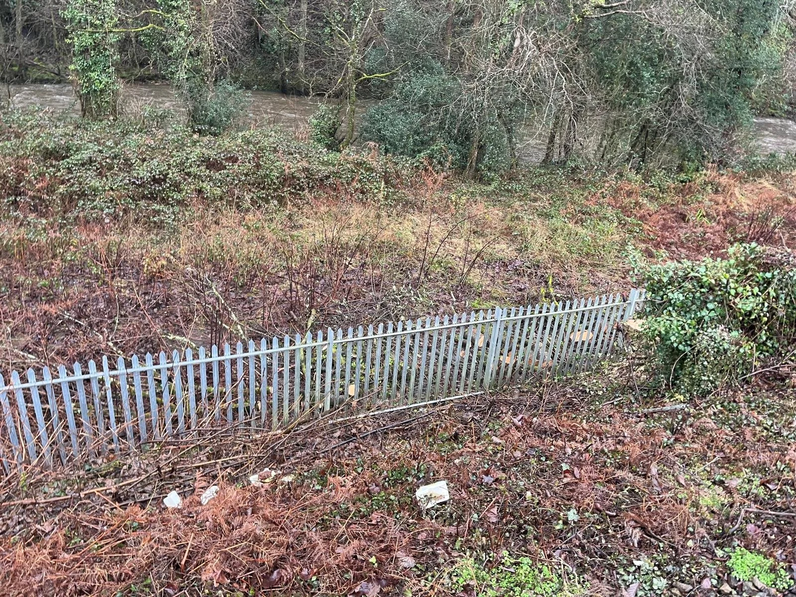 WhatsApp Image 2026-01-29 at 9.12.1.jpeg