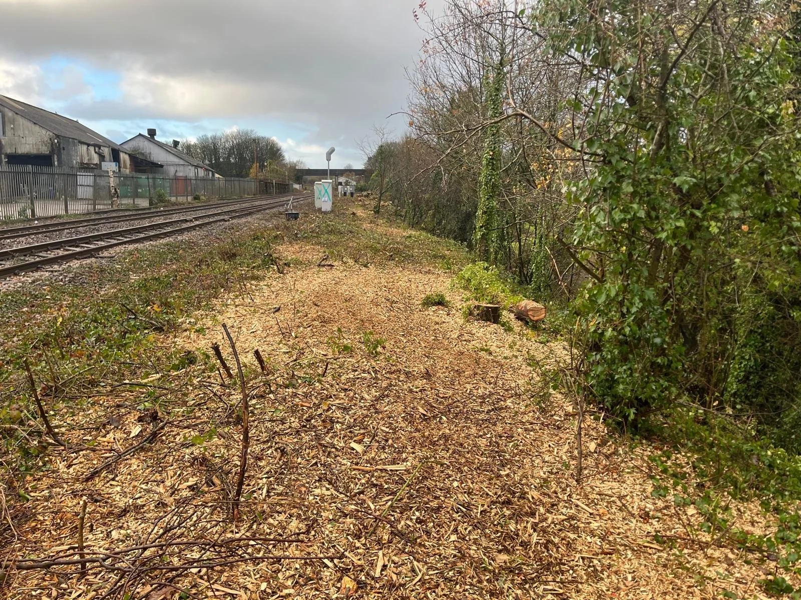 WhatsApp Image 2026-01-29 at 9.12.18 A.jpeg