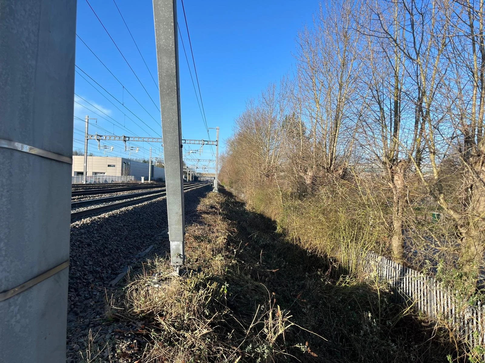 WhatsApp Image 2026-01-29 at 9.12.18 AM1.jpeg