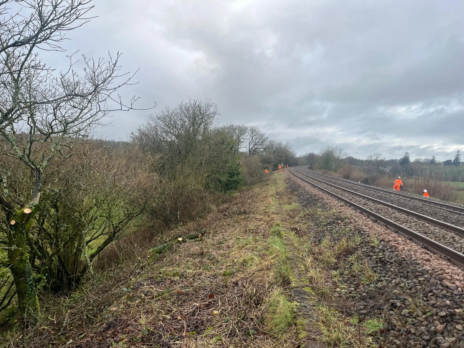 WhatsApp Image 2026-02-10 at 1.49.46 PM (3).jpeg