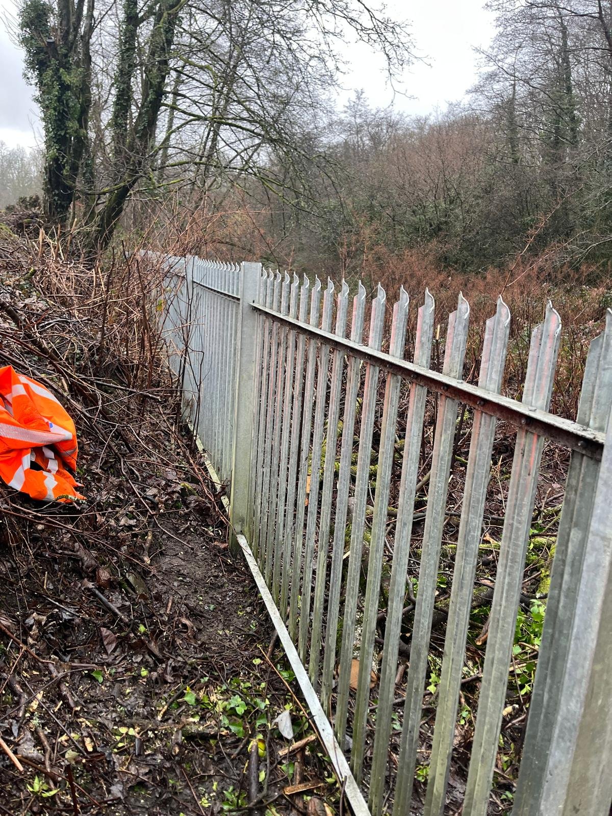 WhatsApp Image 2026-01-29 at 9.12.18.jpeg