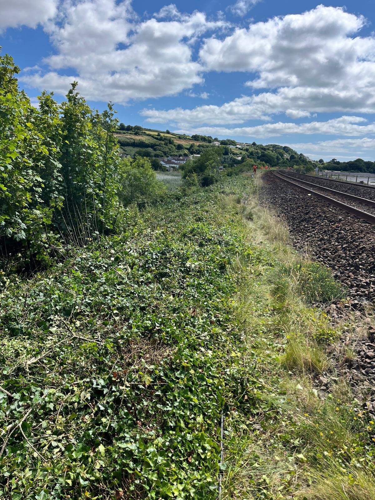 WhatsApp Image 2026-01-29 at 9.25.10 AM (1).jpeg