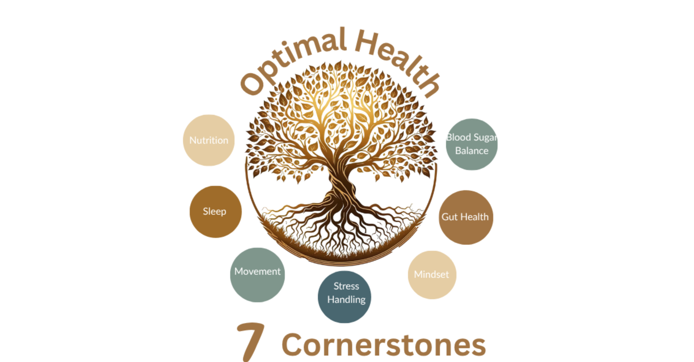 Diagram of a tree with roots symbolizing health benefits, numbered as 7 cornerstones around it: Nutrition, Sleep, Movement, Stress Handling, Mindset, Gut Health, Blood Sugar Balance, with the title 'Optimum Health' and '7 Cornerstones'.