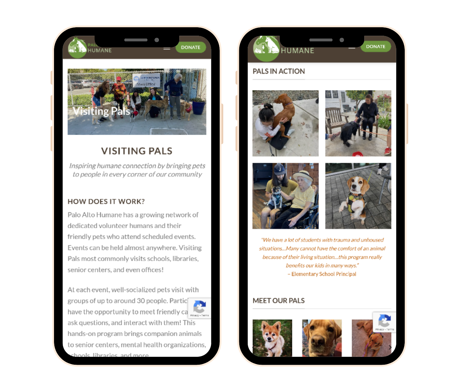 marketing optimization project