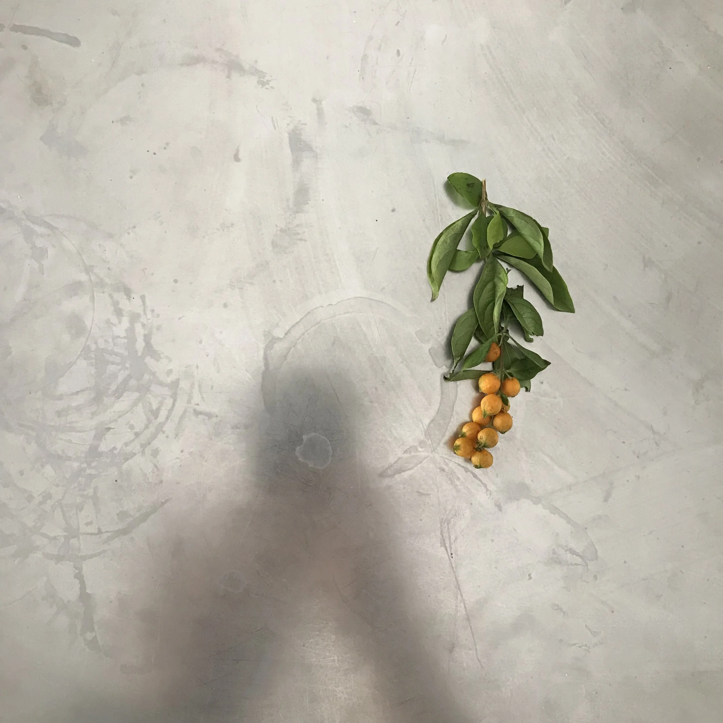 193. GUMBO_IMG_6183.JPEG