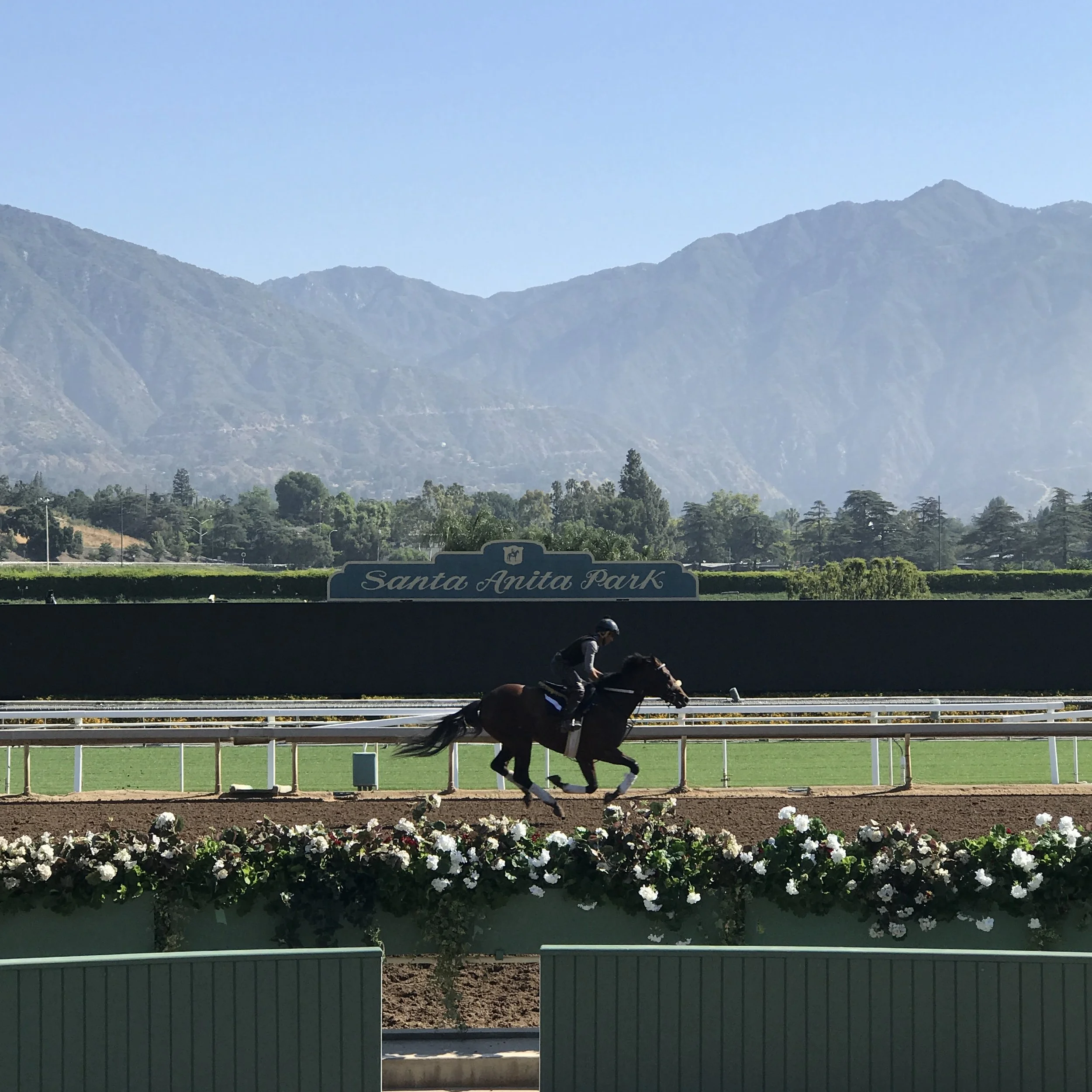 98. SANTA ANITA_IMG_2798.JPEG