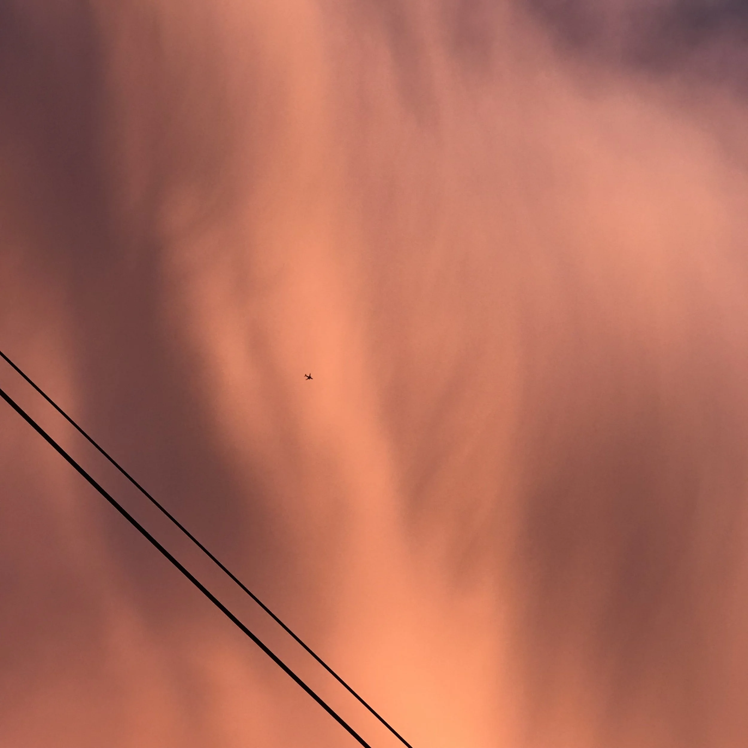 138. DUSK AIR_IMG_6526.JPEG
