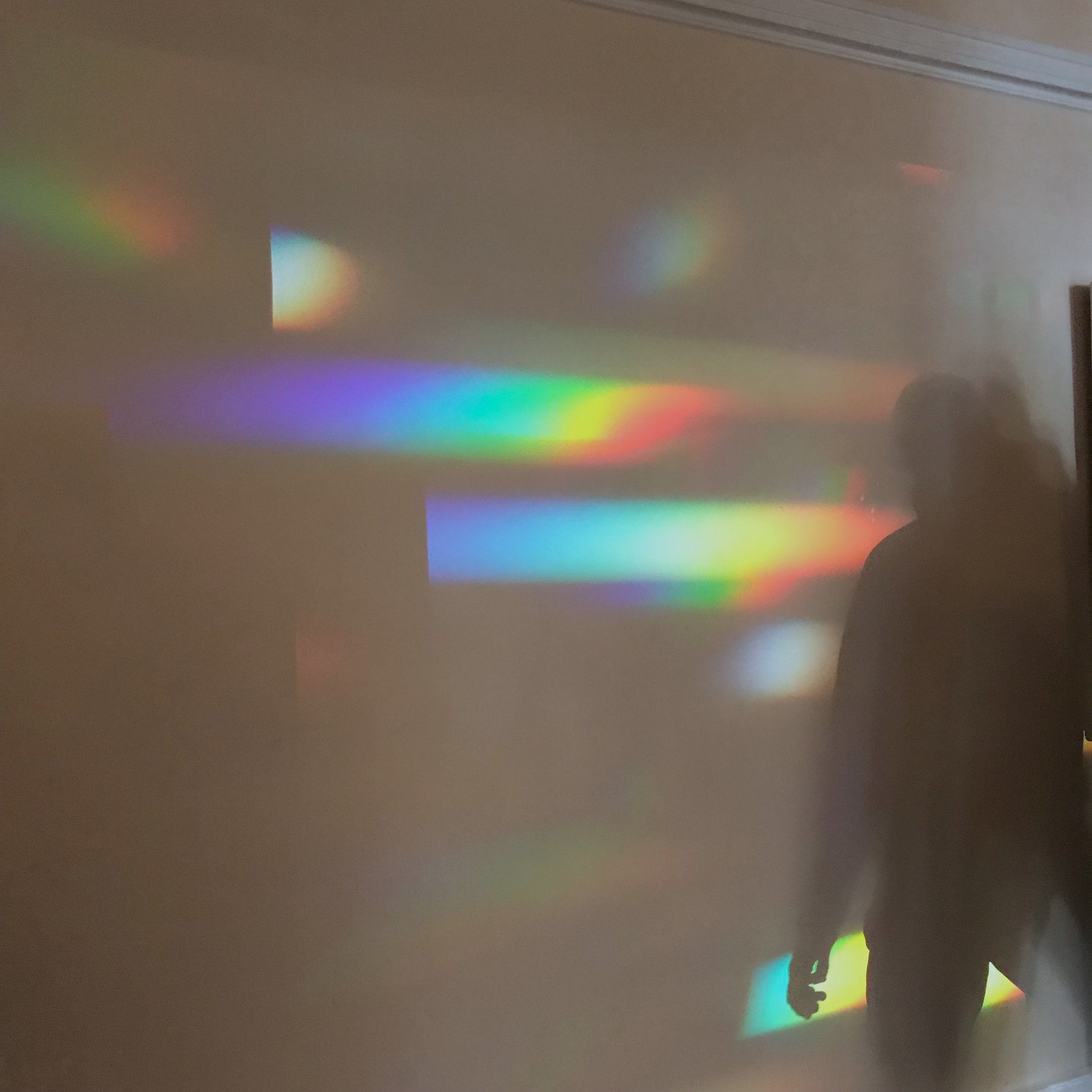 289. PRISM_003.JPEG