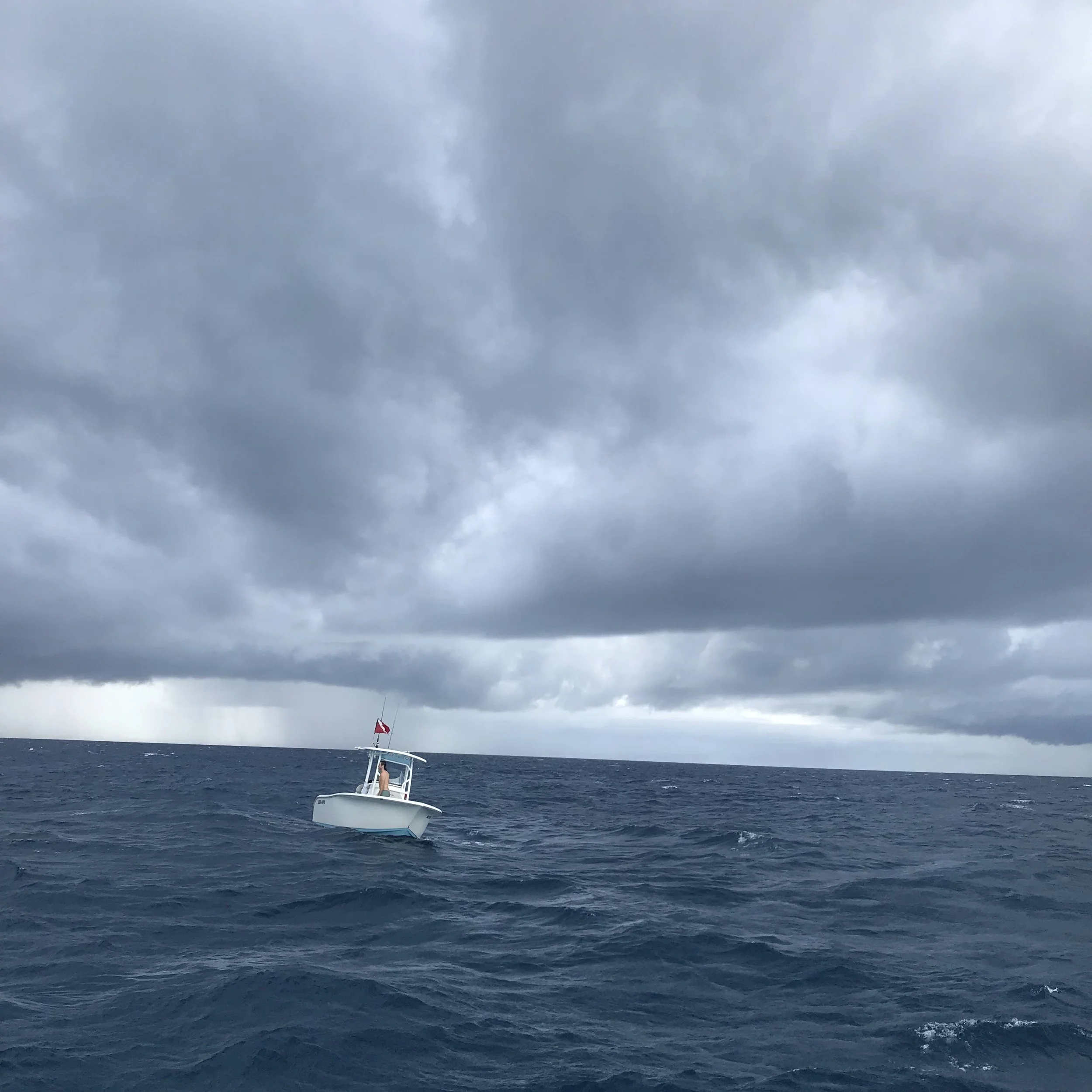 195. SWELL_IMG_2476.JPEG