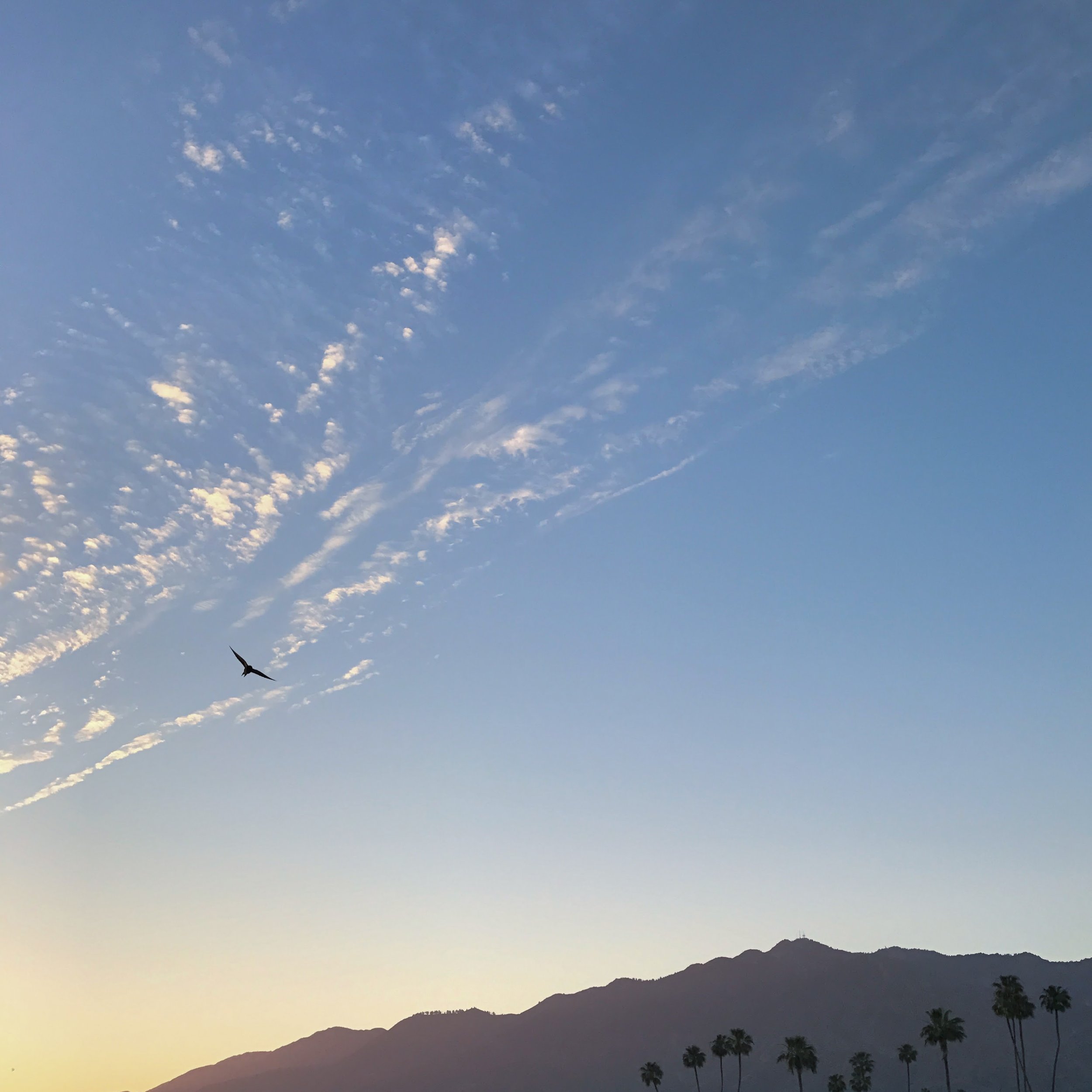 100. PALM SPRINGS_IMG_2954.JPEG