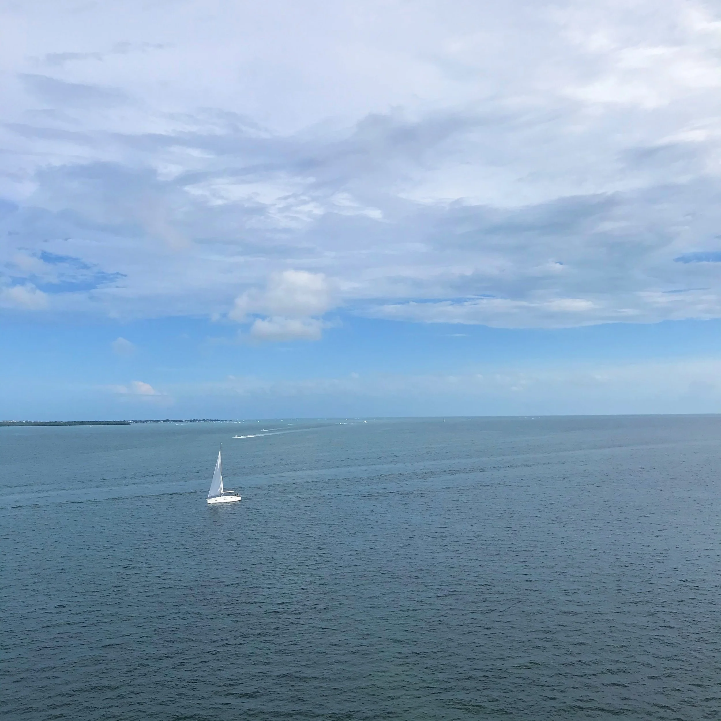 238. SAIL AWAY_IMG_0417.JPEG
