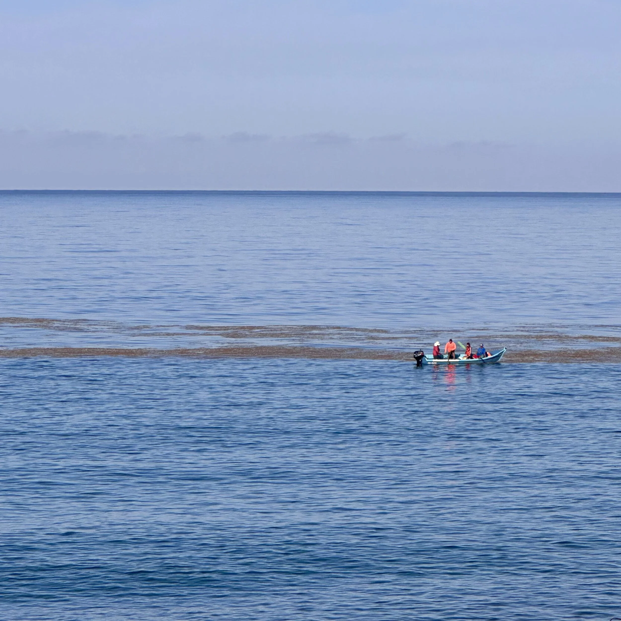 296. LA PESCA_IMG_E8714.JPEG