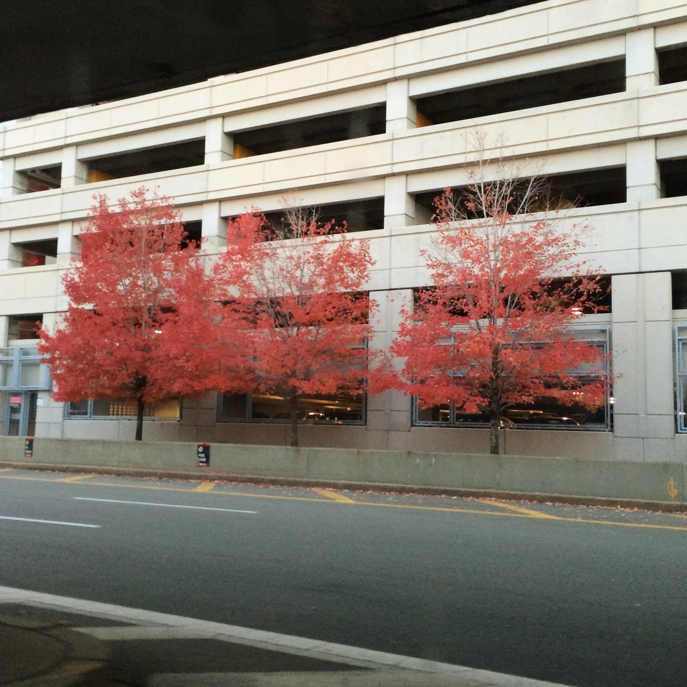 19. FALL_IMG_1306.JPEG