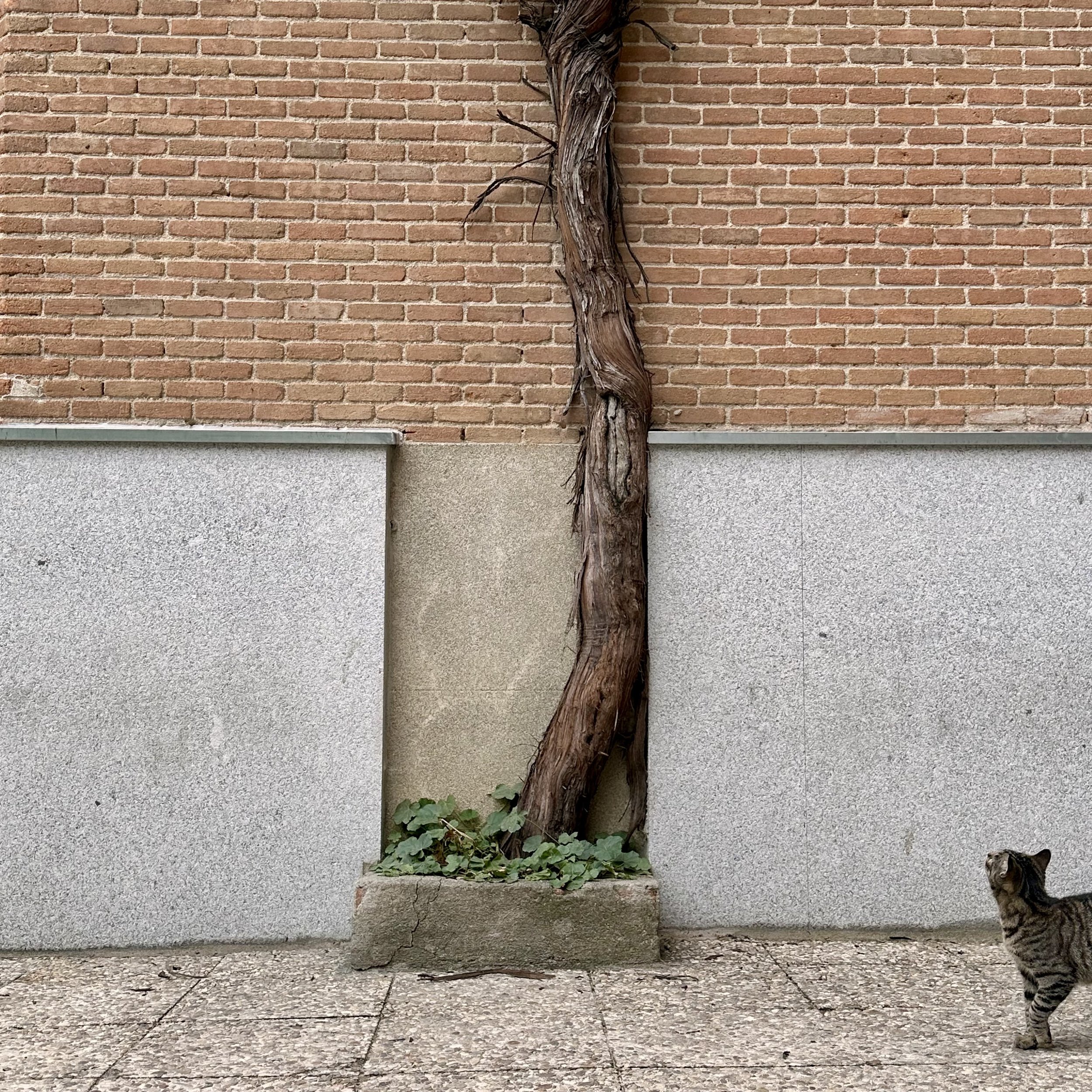 314. CURIOSITY_IMG_E4532.JPEG