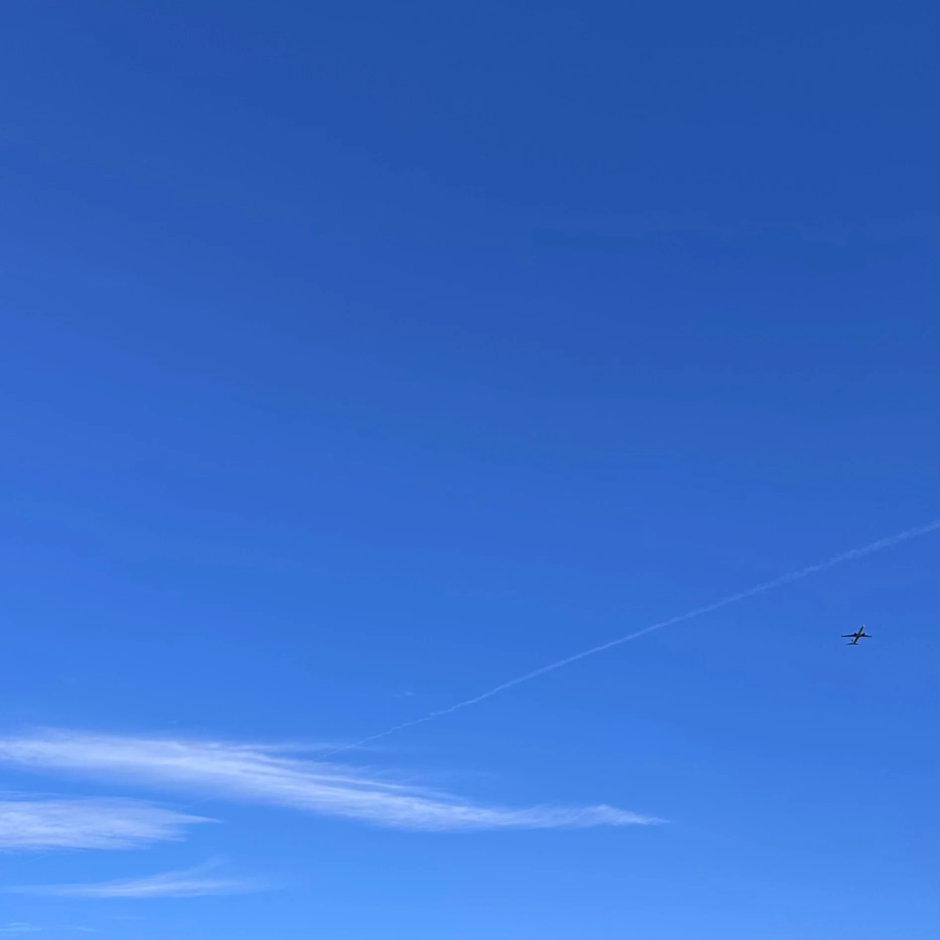 400. PLANE PLUME_IMG_E1461.JPEG