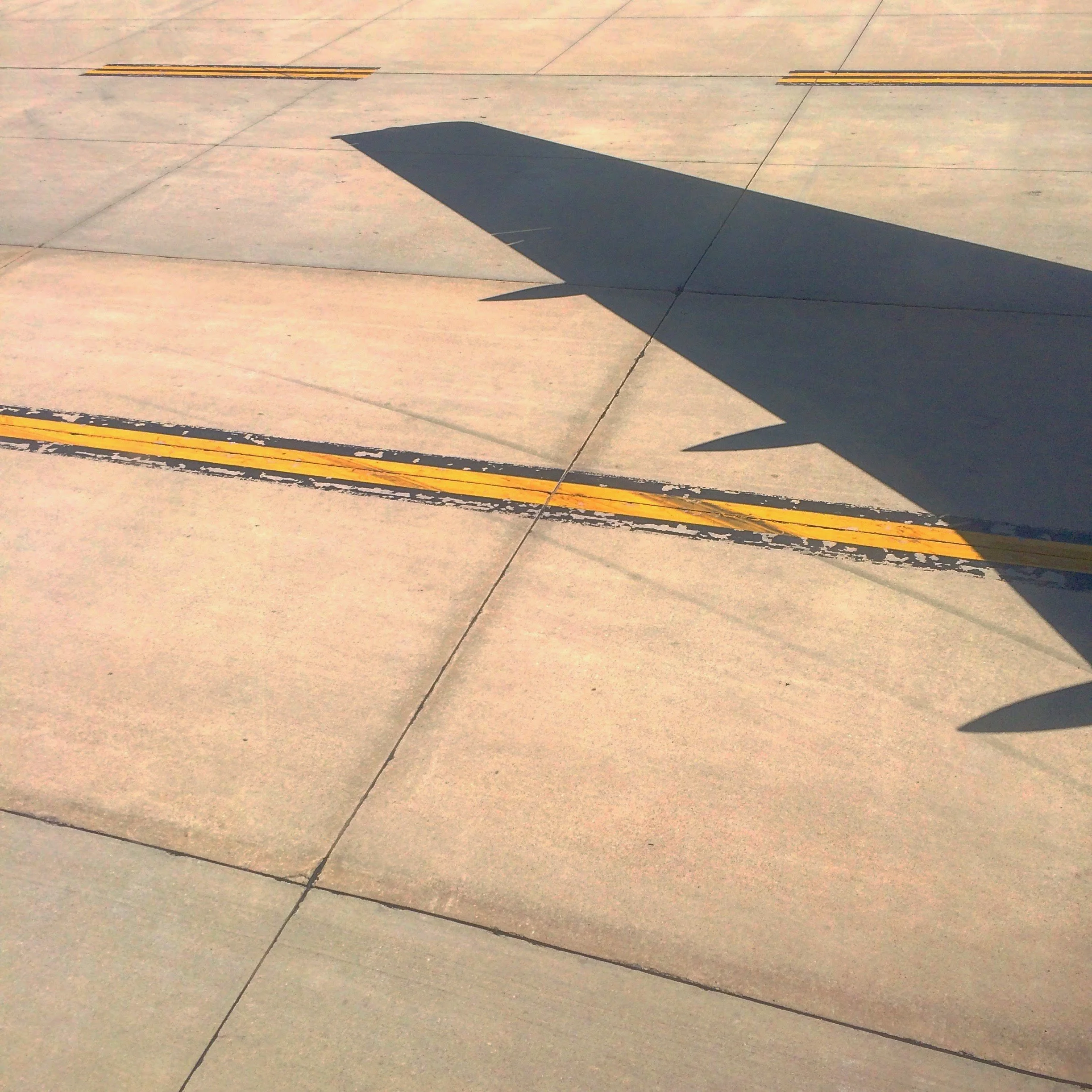 97. WING_IMG_8452.JPEG