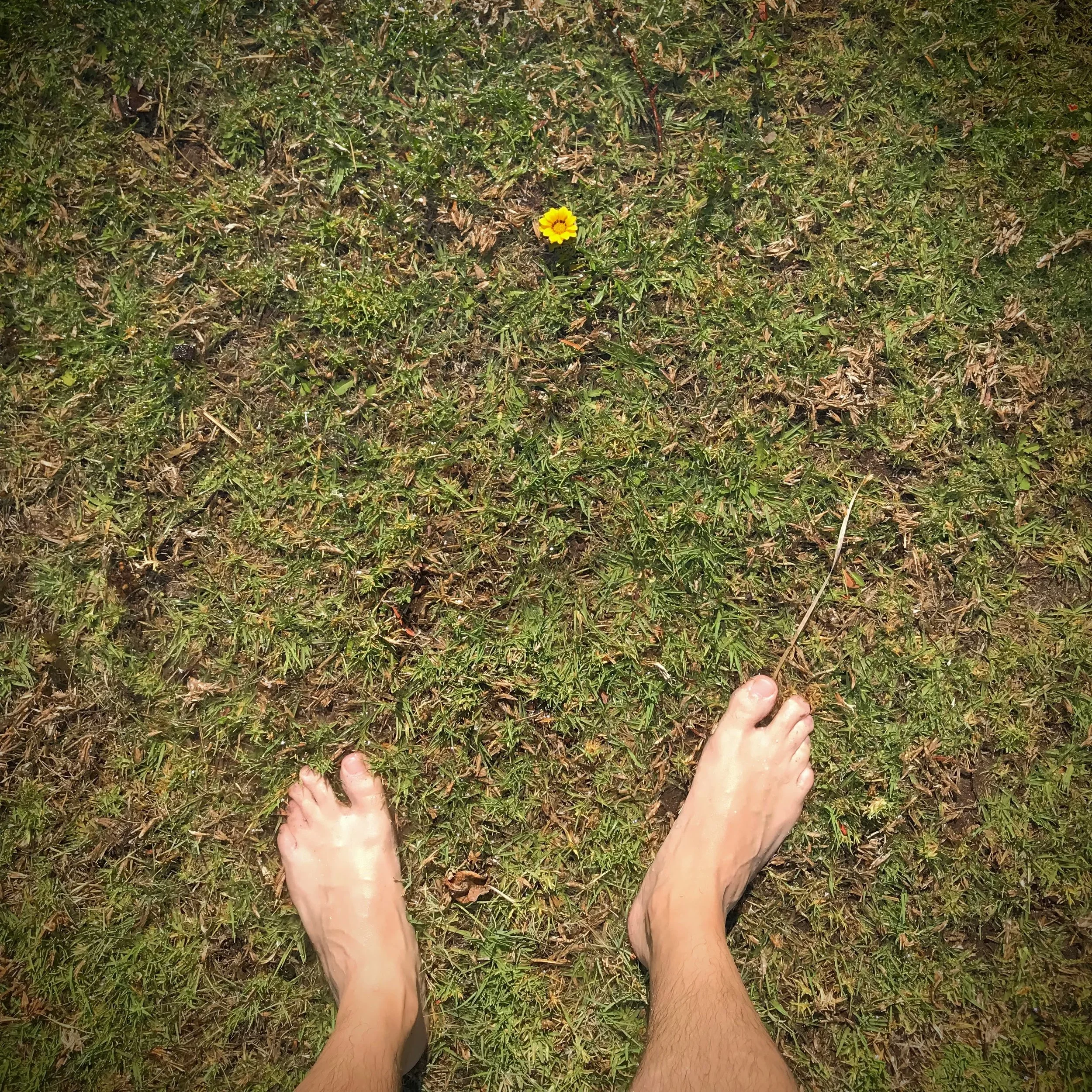 222. BLOOM_IMG_1744.JPEG