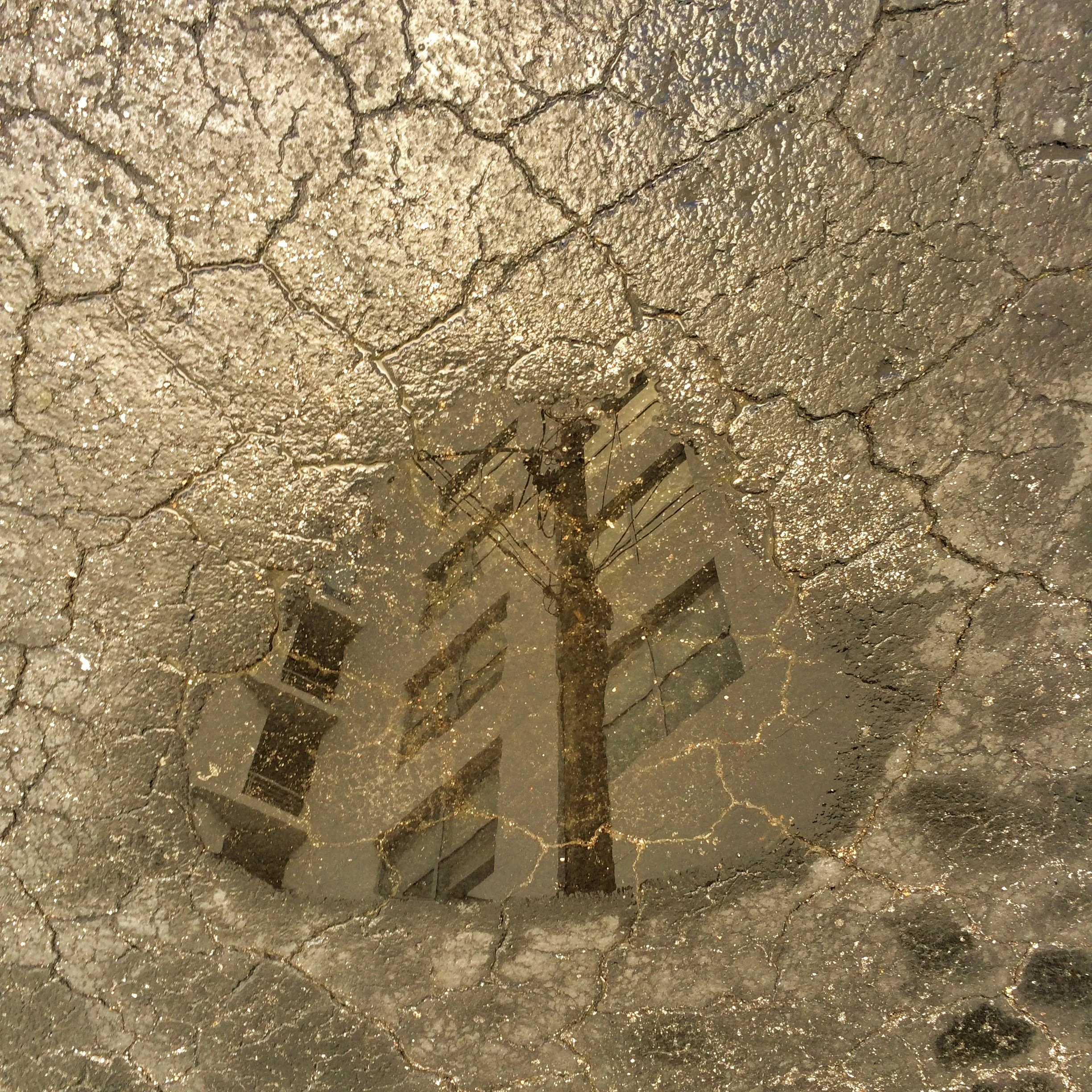 57. PUDDLE.JPEG