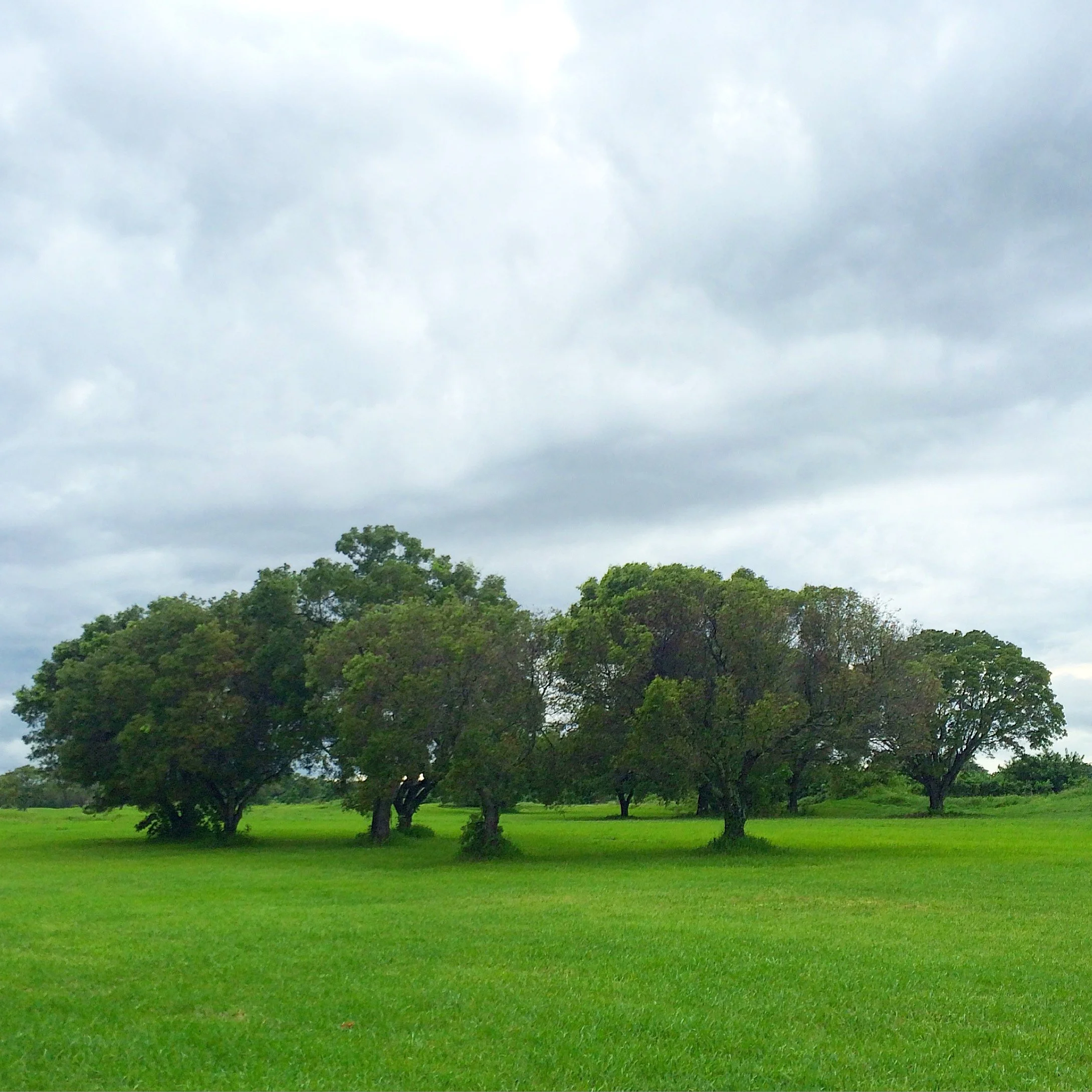 49. FIELD_IMG_1544.JPEG