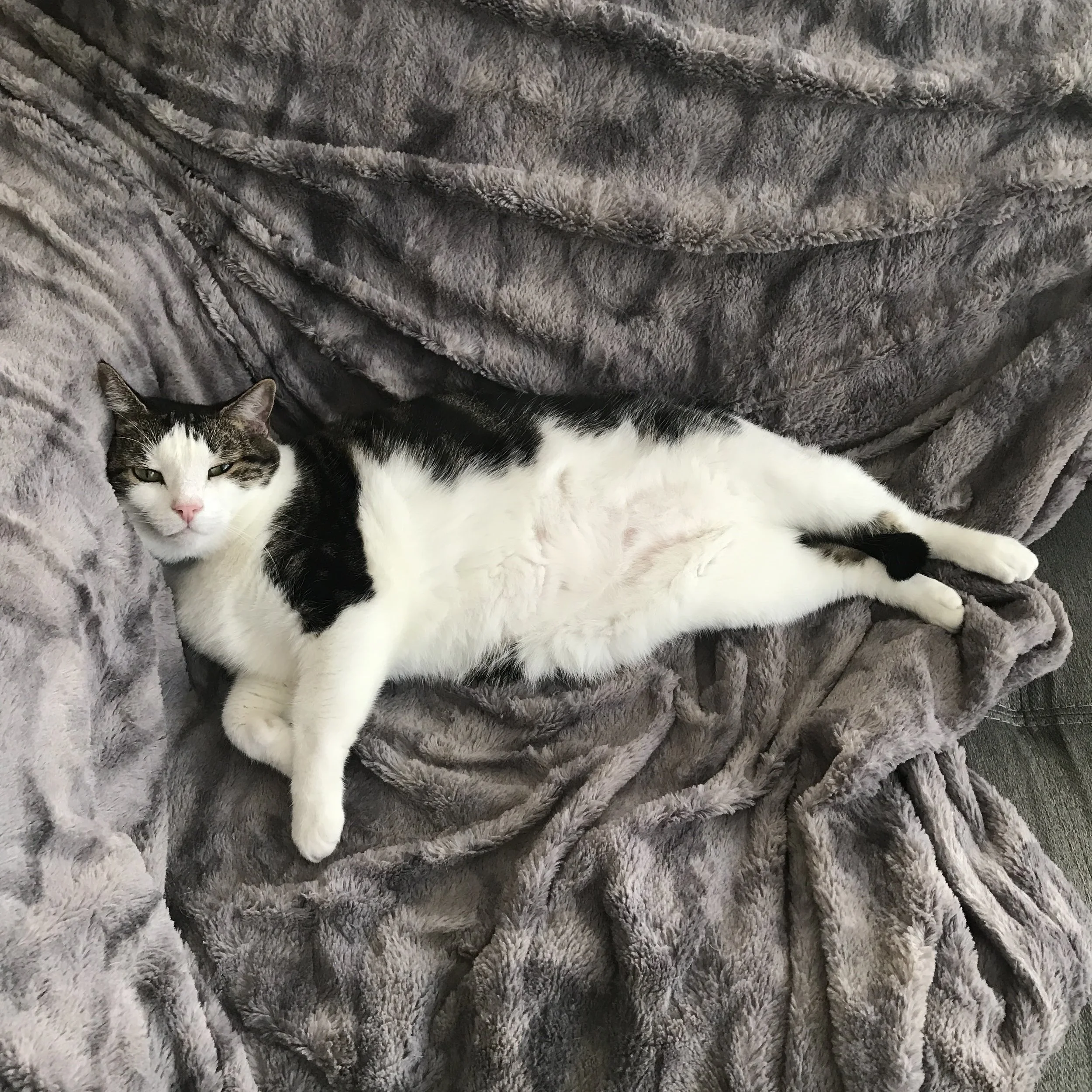 235. MUFFINA_IMG_1209.JPEG