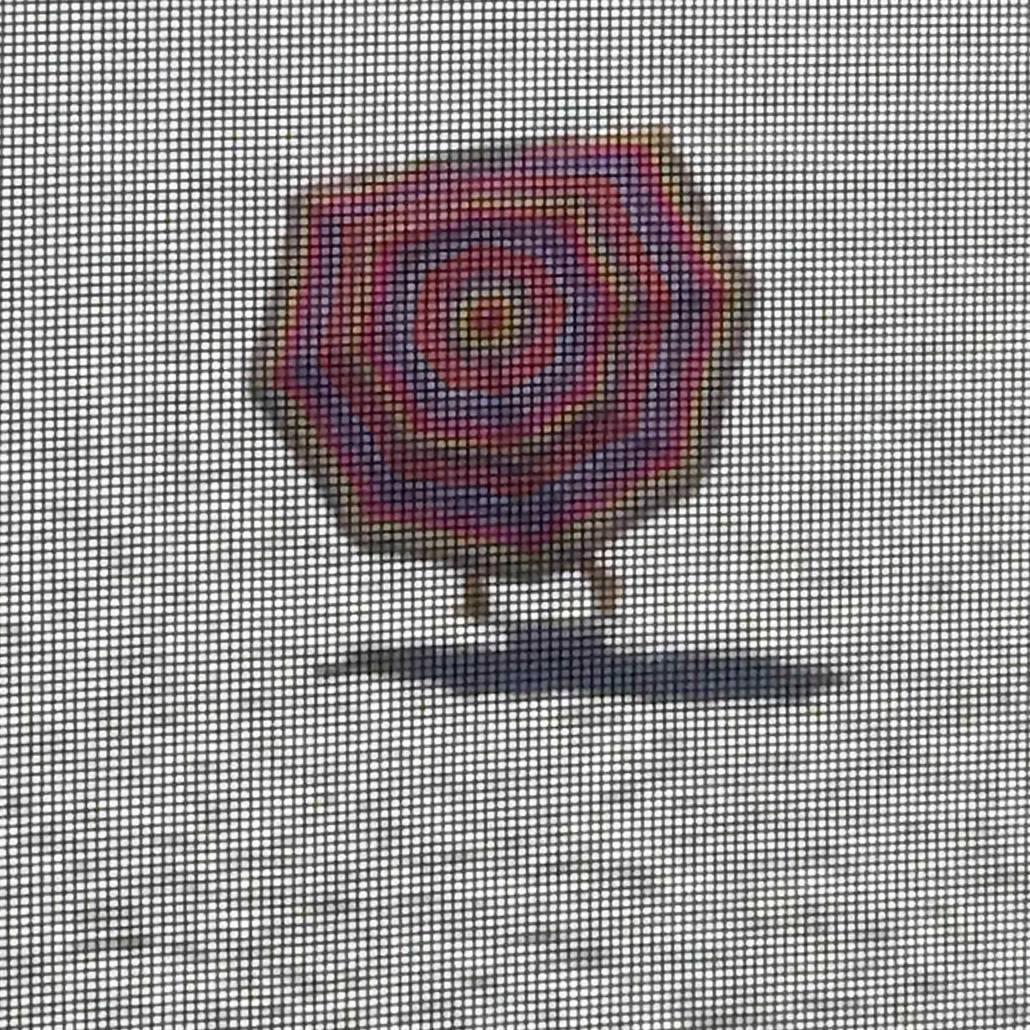 133. UMBRELLA_IMG_5490.JPEG