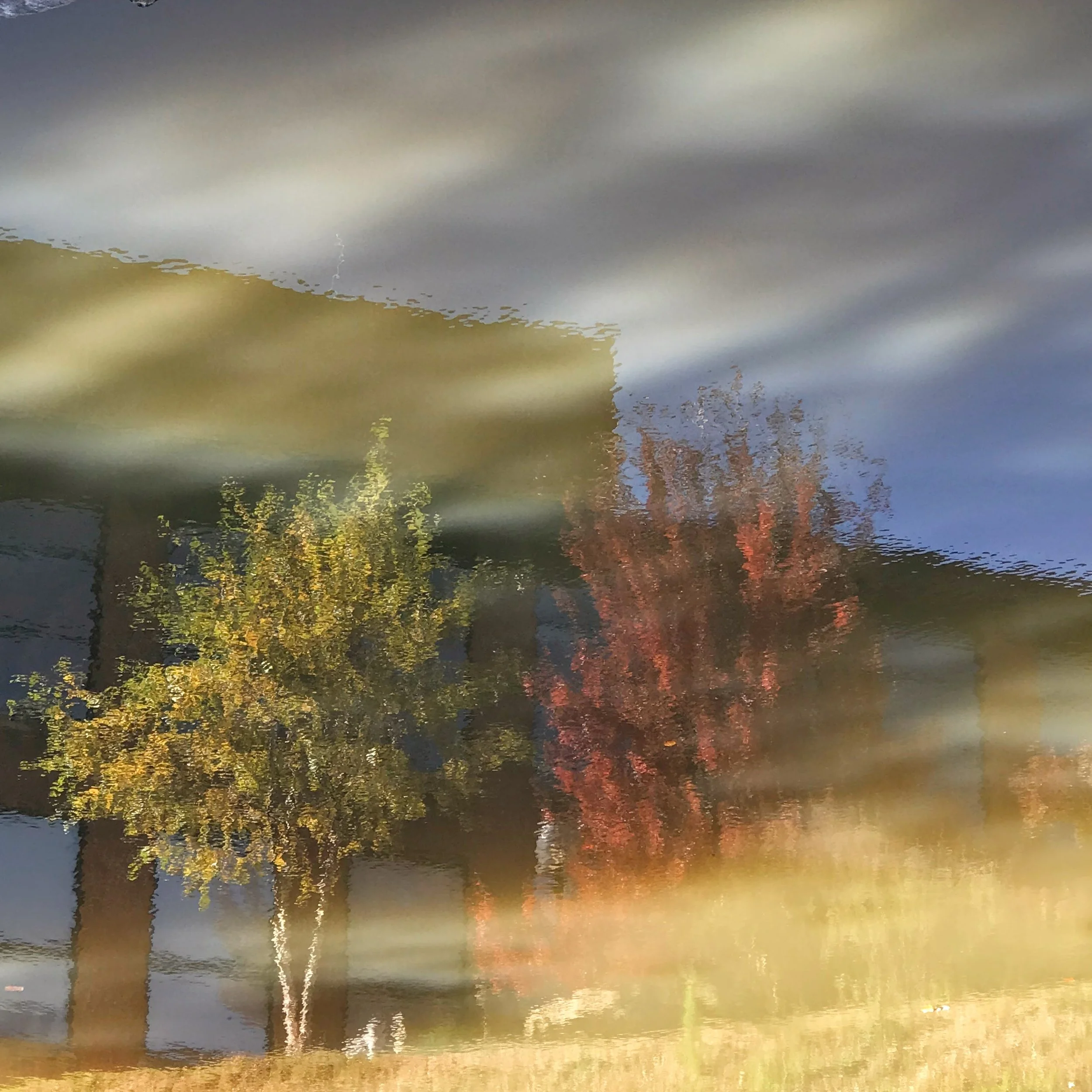 144. AUTUMN_IMG_8700.JPEG
