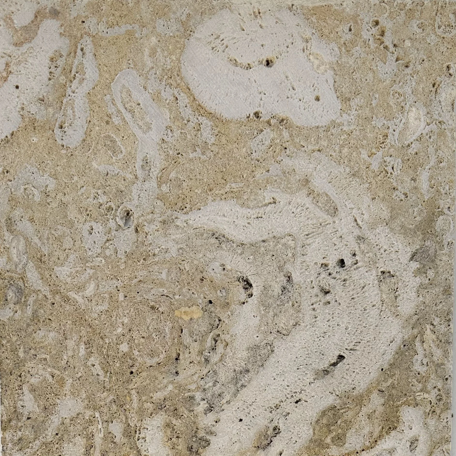 225. OMNI_IMG_E5478.JPEG