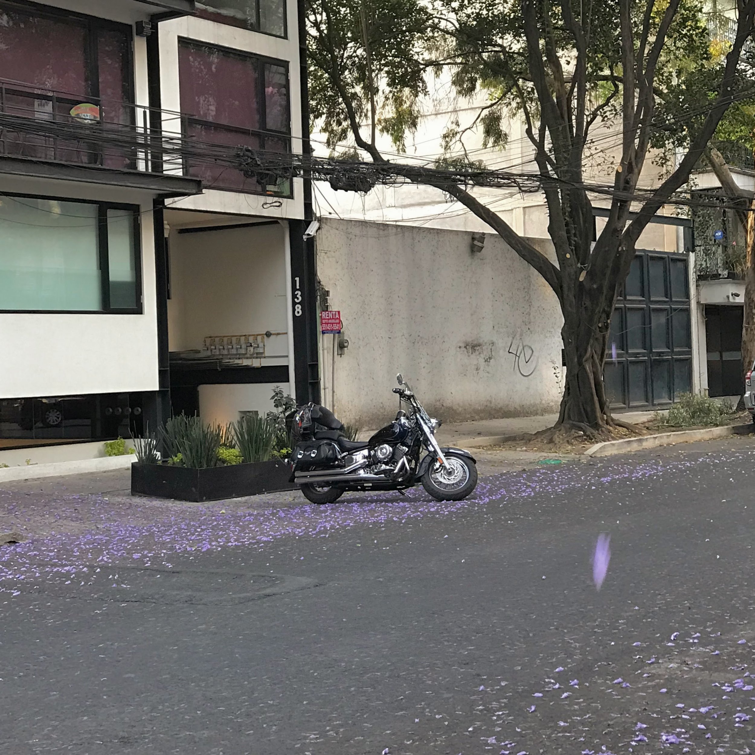 303. PRINCE_IMG_1430.JPEG