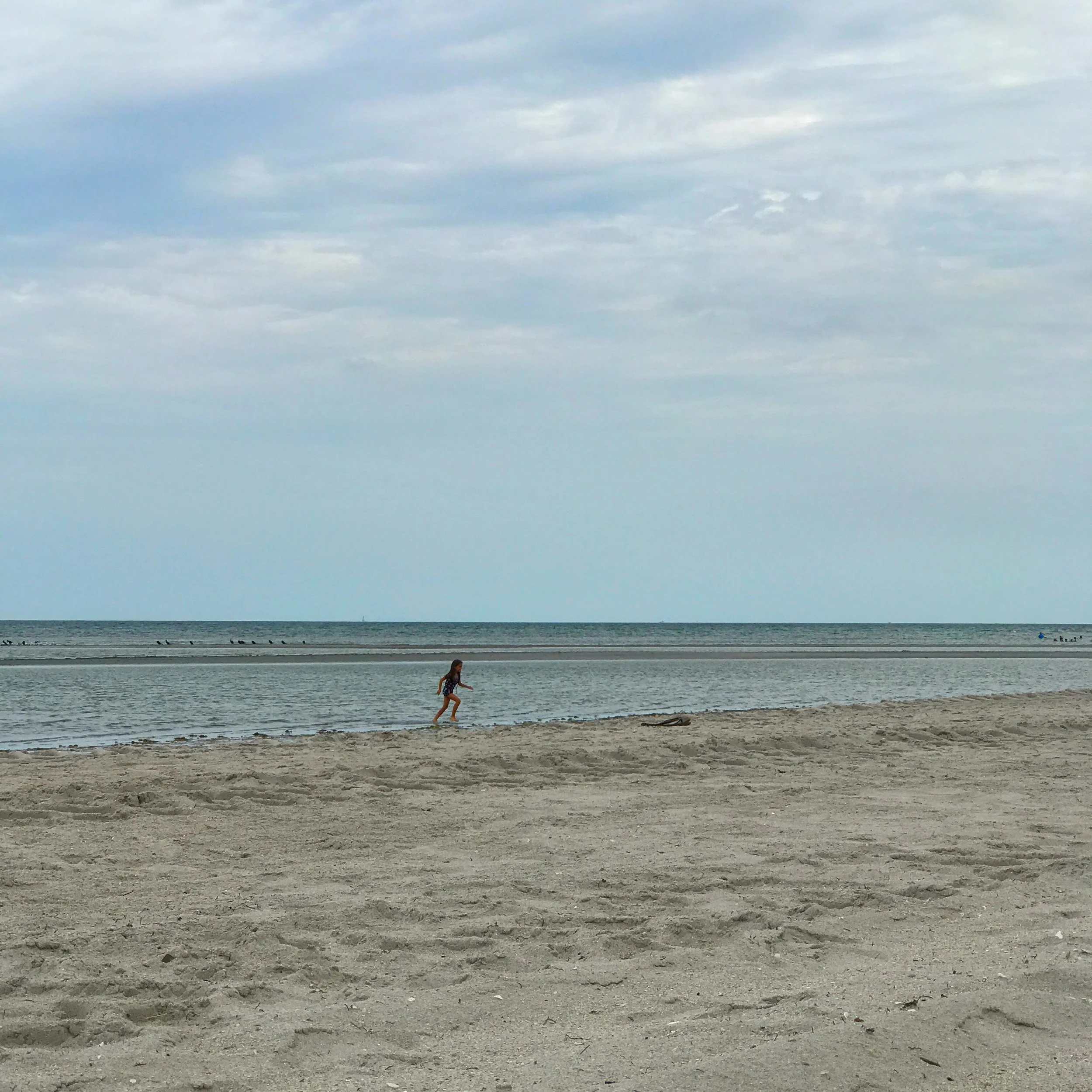 101. SHORE RUN_IMG_3391.JPEG