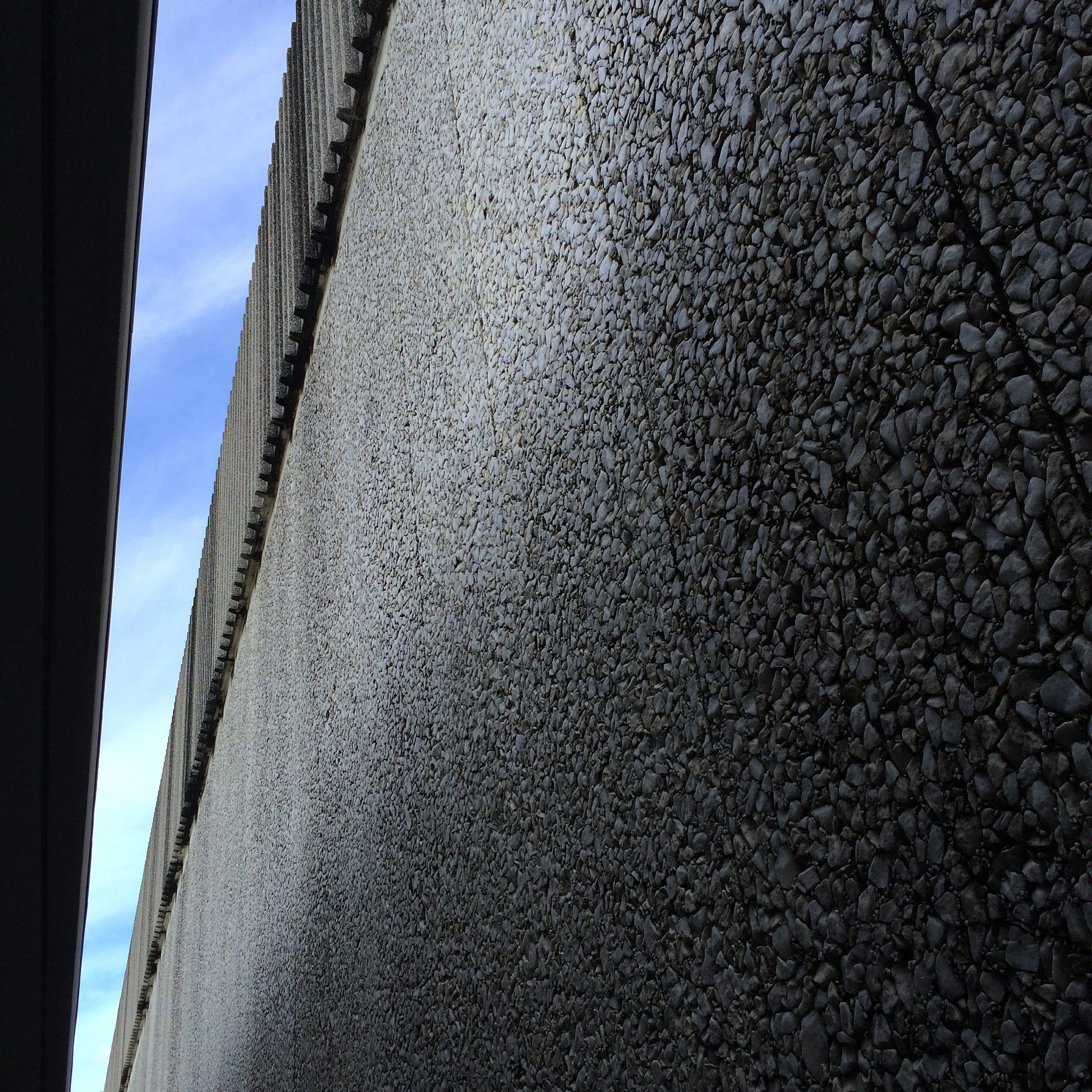 55. SLIVER_IMG_0008.JPEG