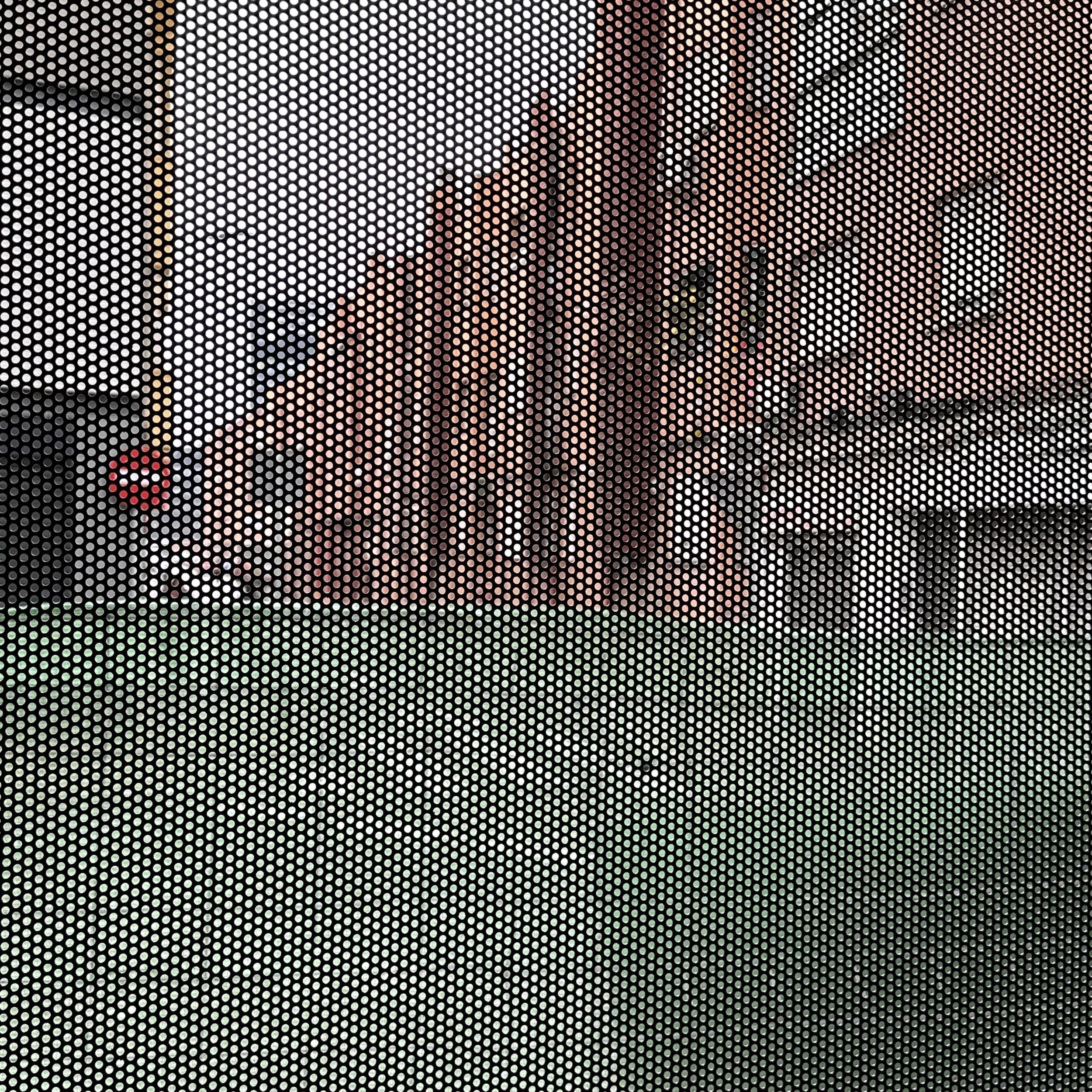 388. NIDO_IMG_E3697.JPEG