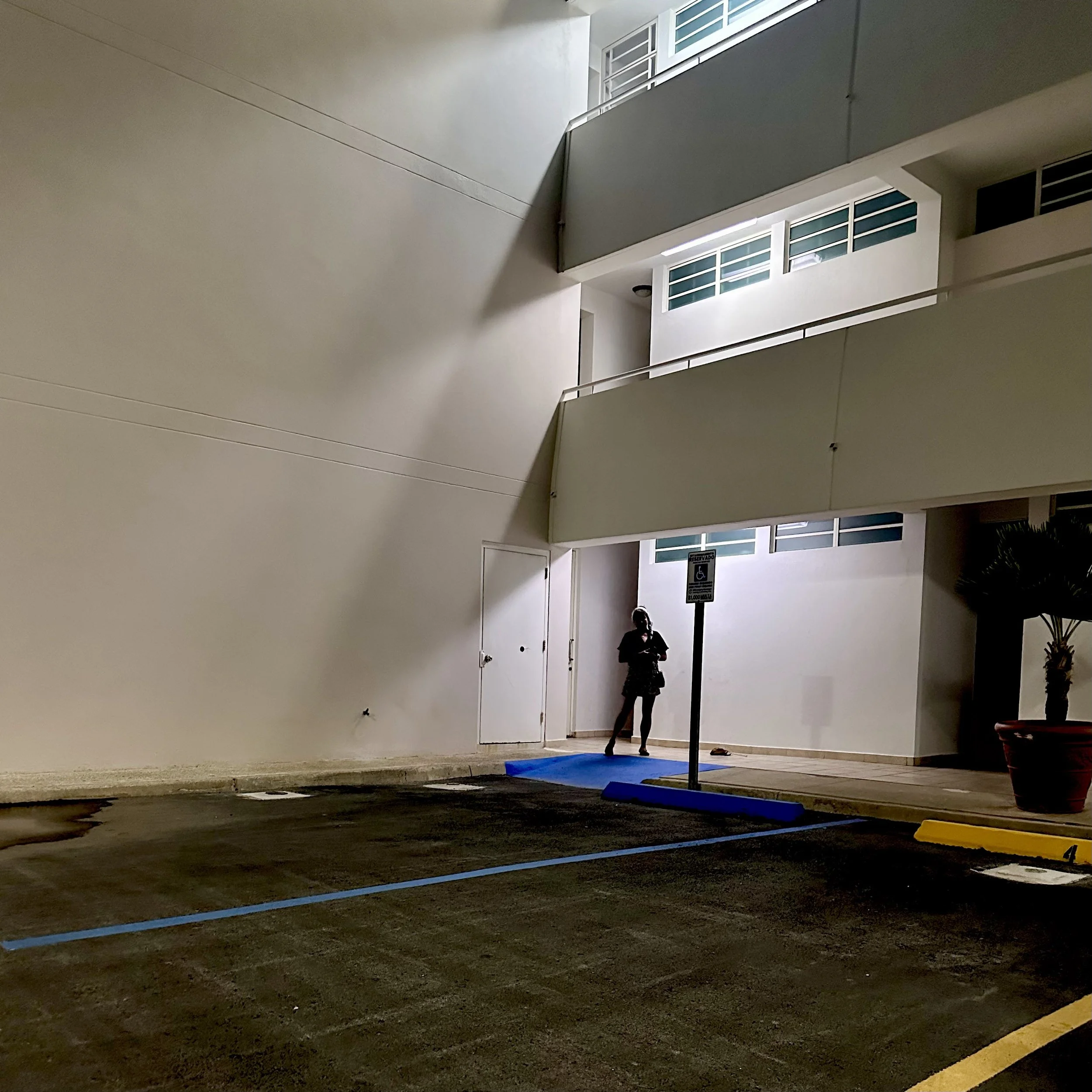295. SILHOUETTE_IMG_E8704.JPEG