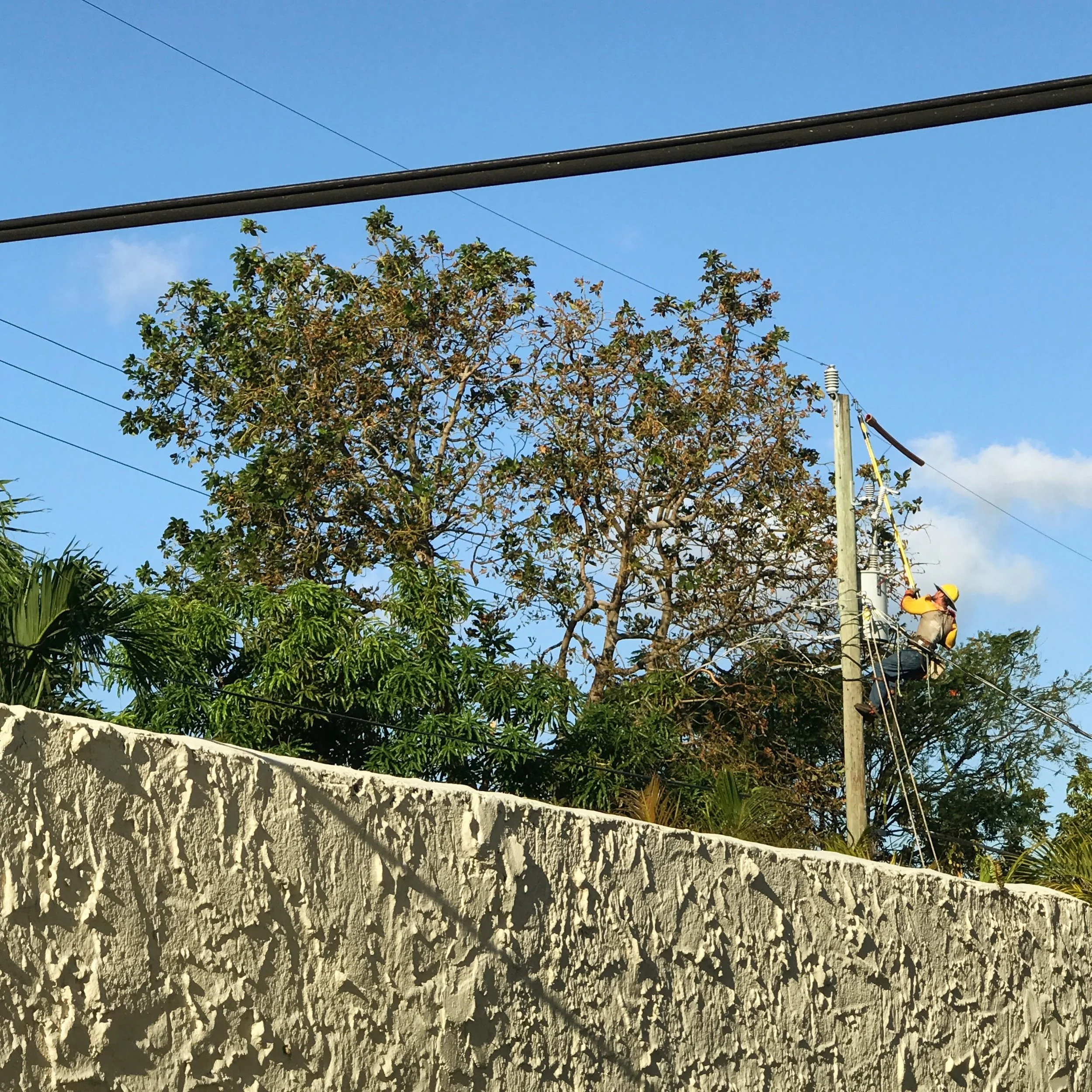 106. LINEMAN_IMG_7865.JPEG