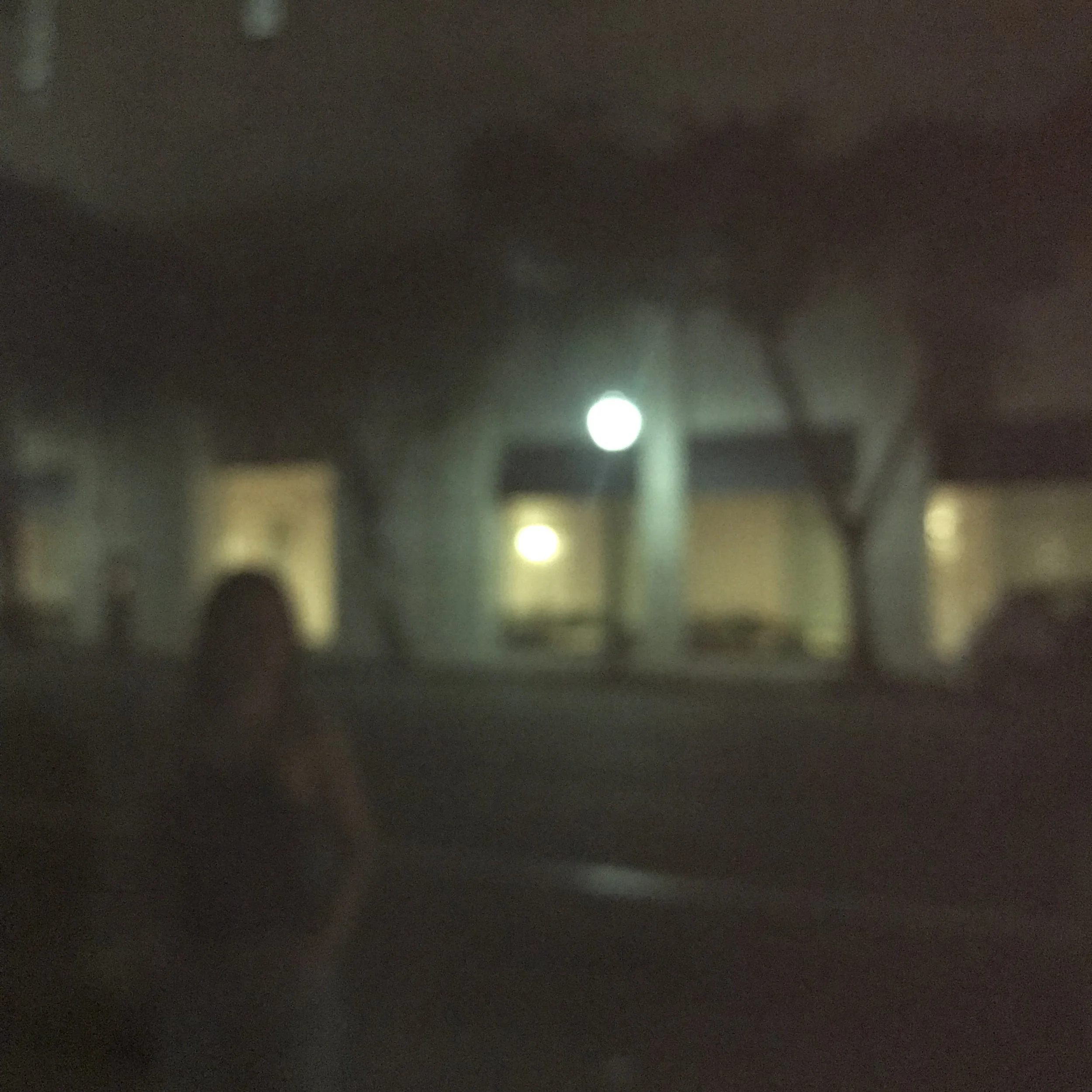 324. FIGURE_IMG_7507.JPEG