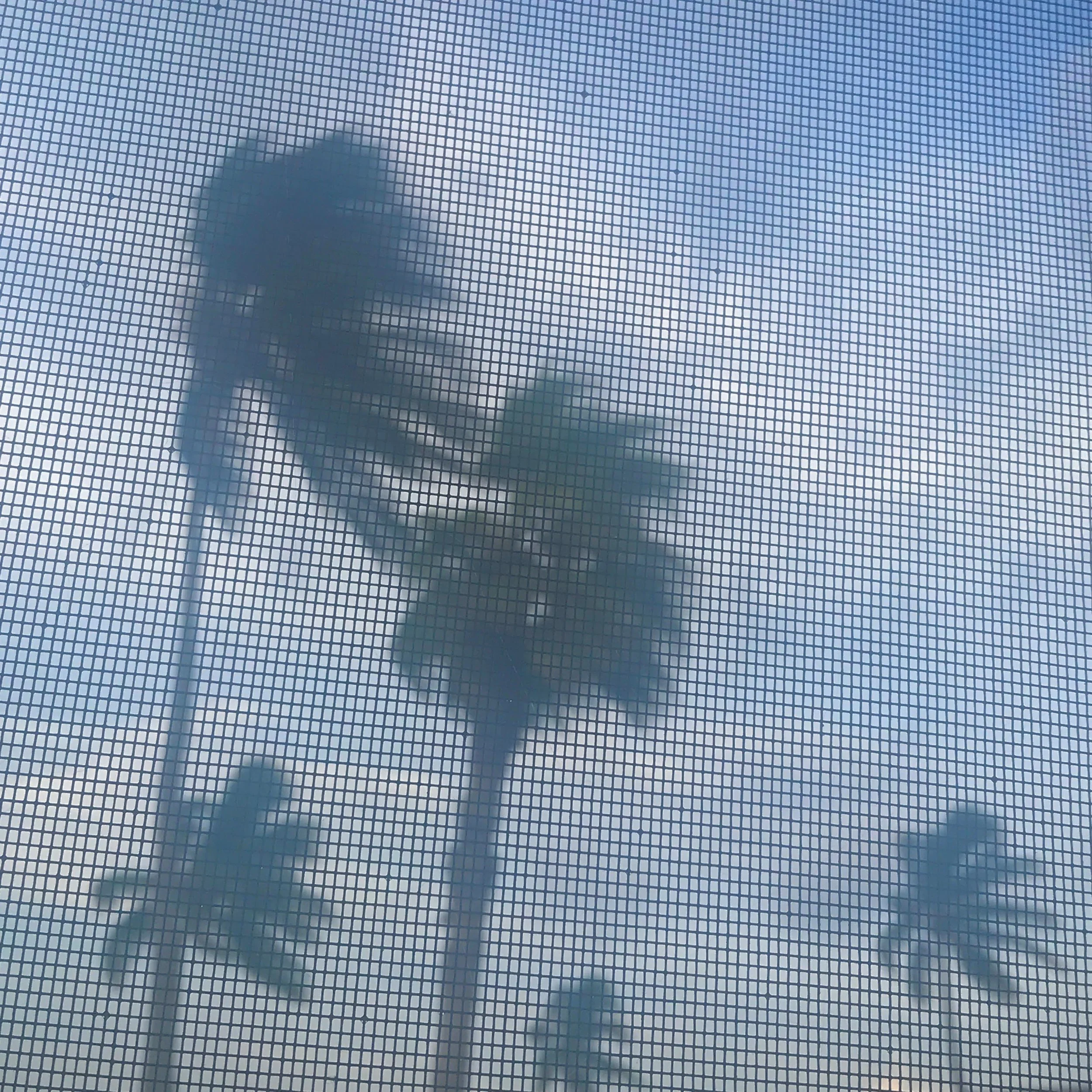 321. GUST_IMG_6426.JPEG