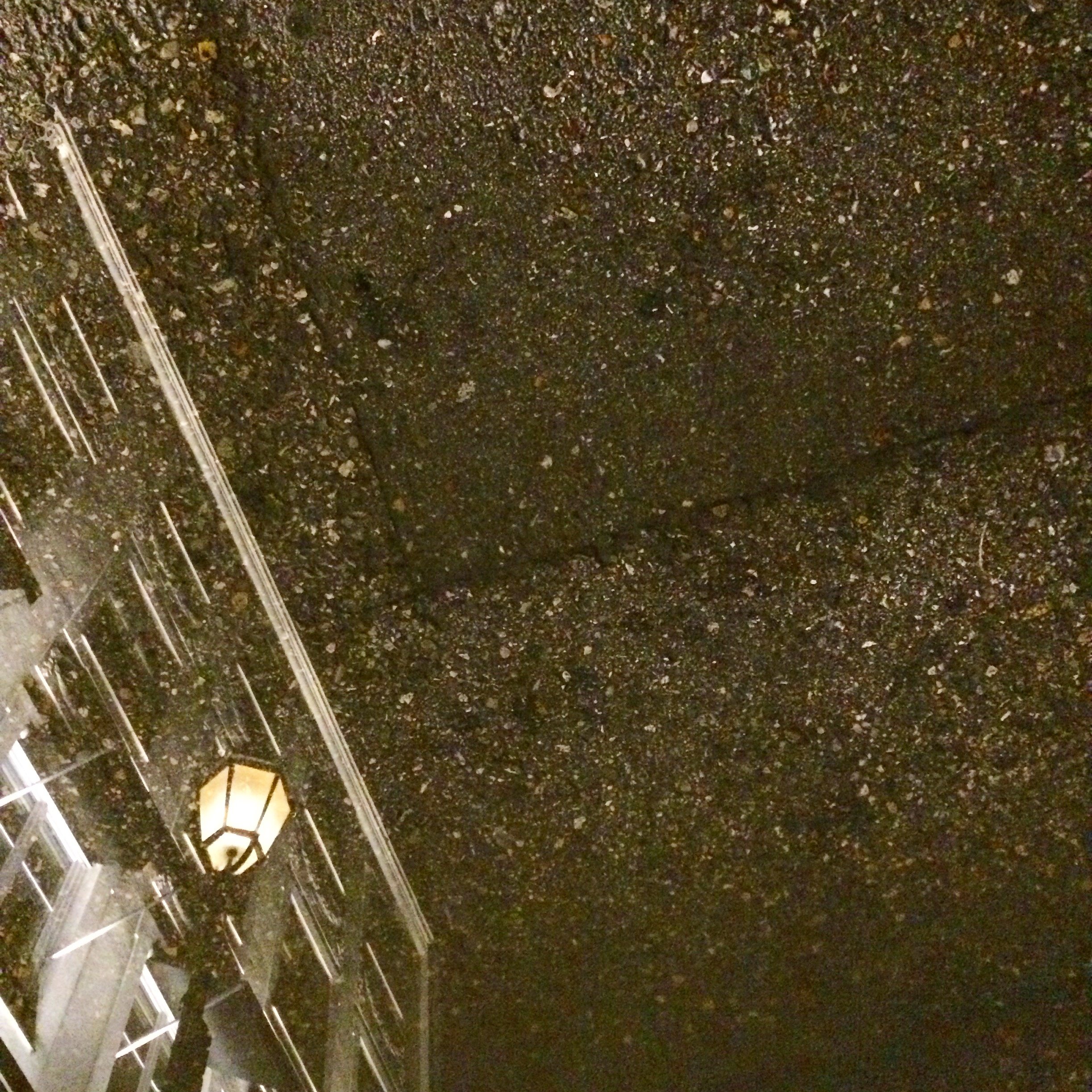 82. LANTERN_IMG_0862.JPEG