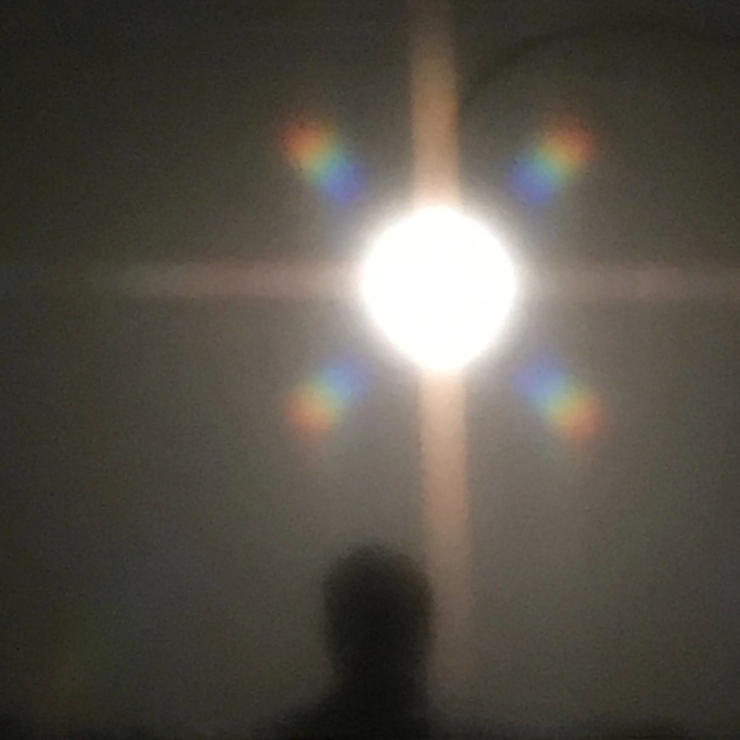111. SILHOUETTE_IMG_33_9281.JPEG
