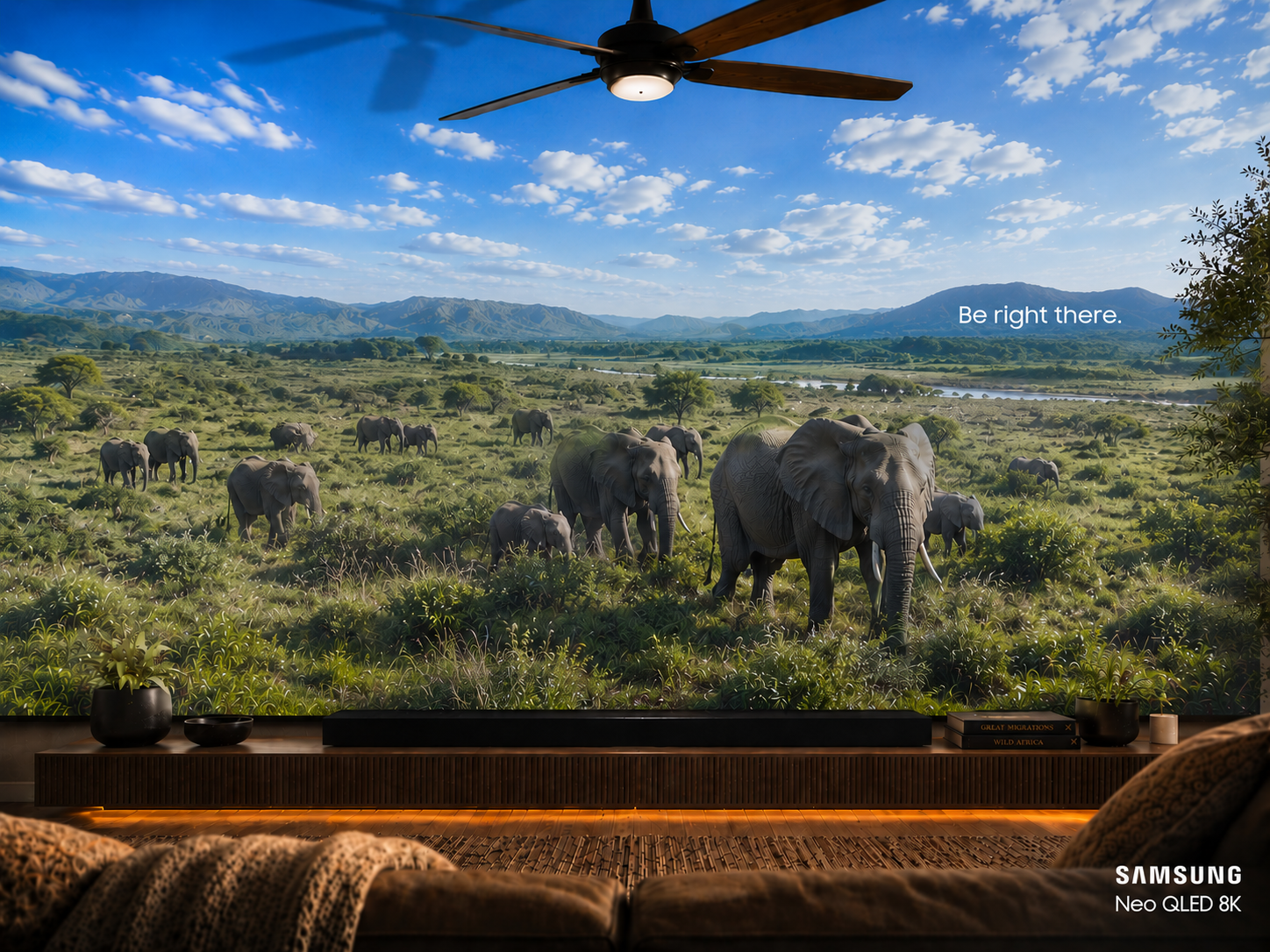 SAMSUNG Elephants 2.png