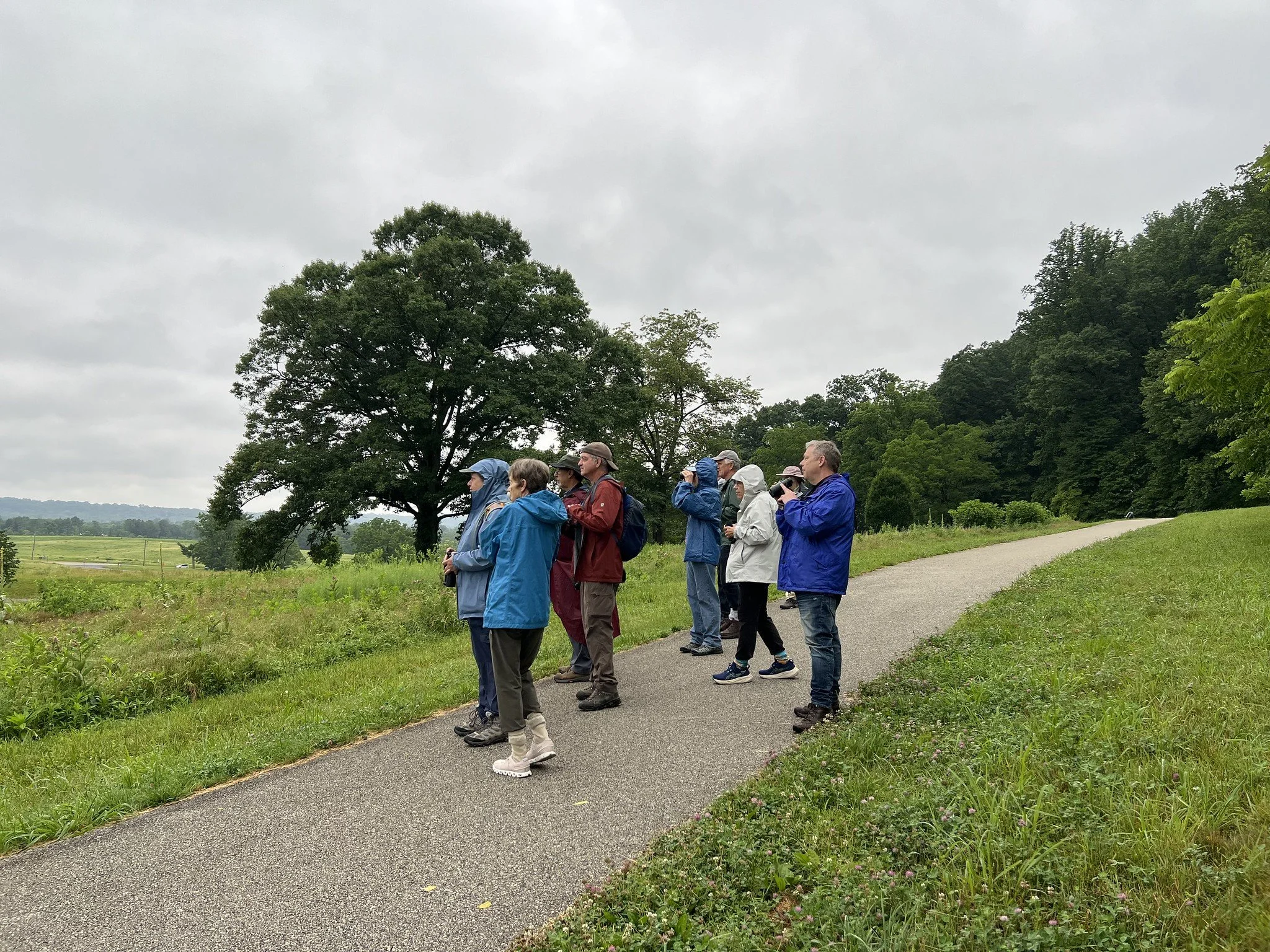 6.23.26 viewing meadow