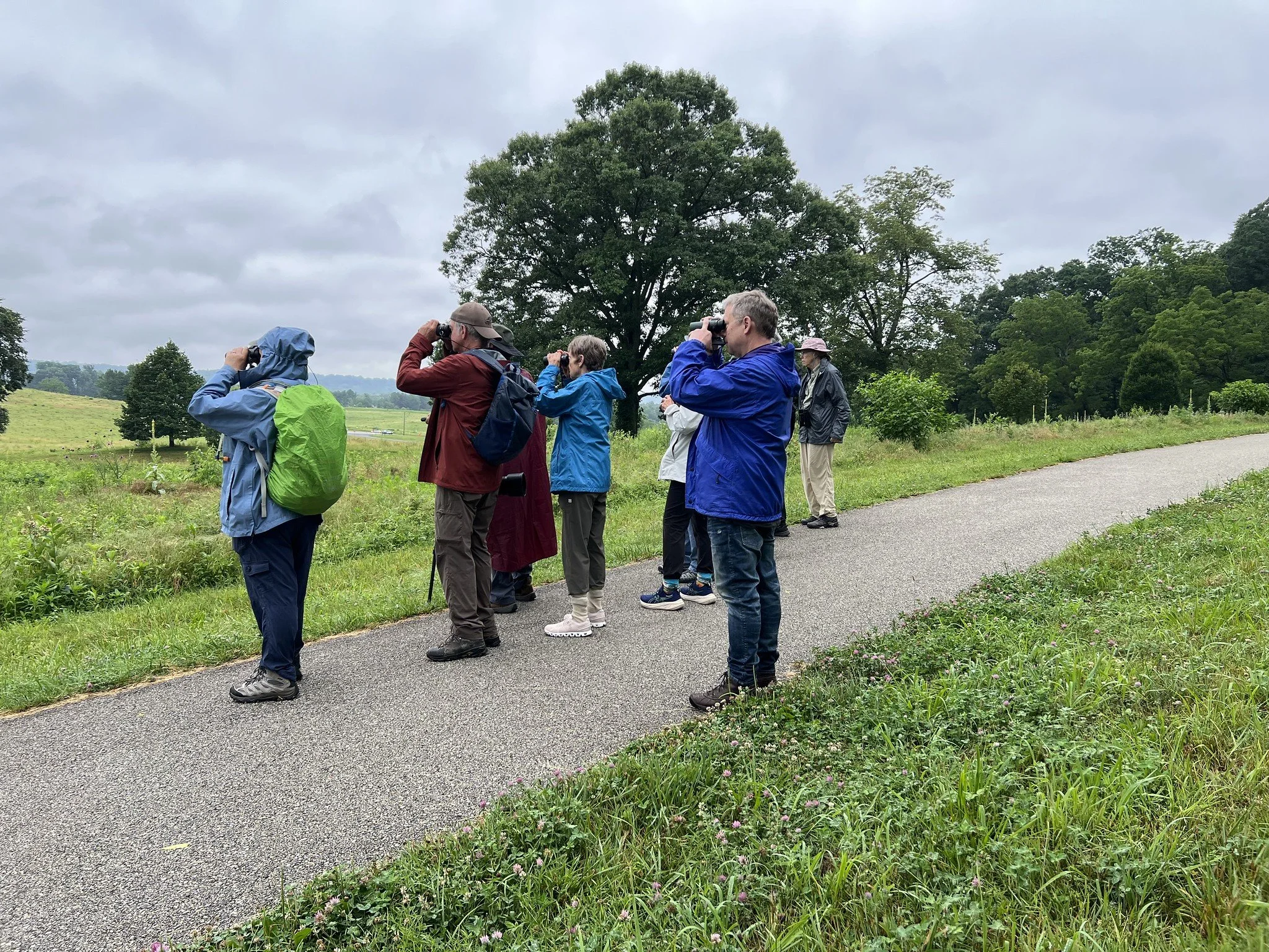 6.23.26 drizzly & cool, small group