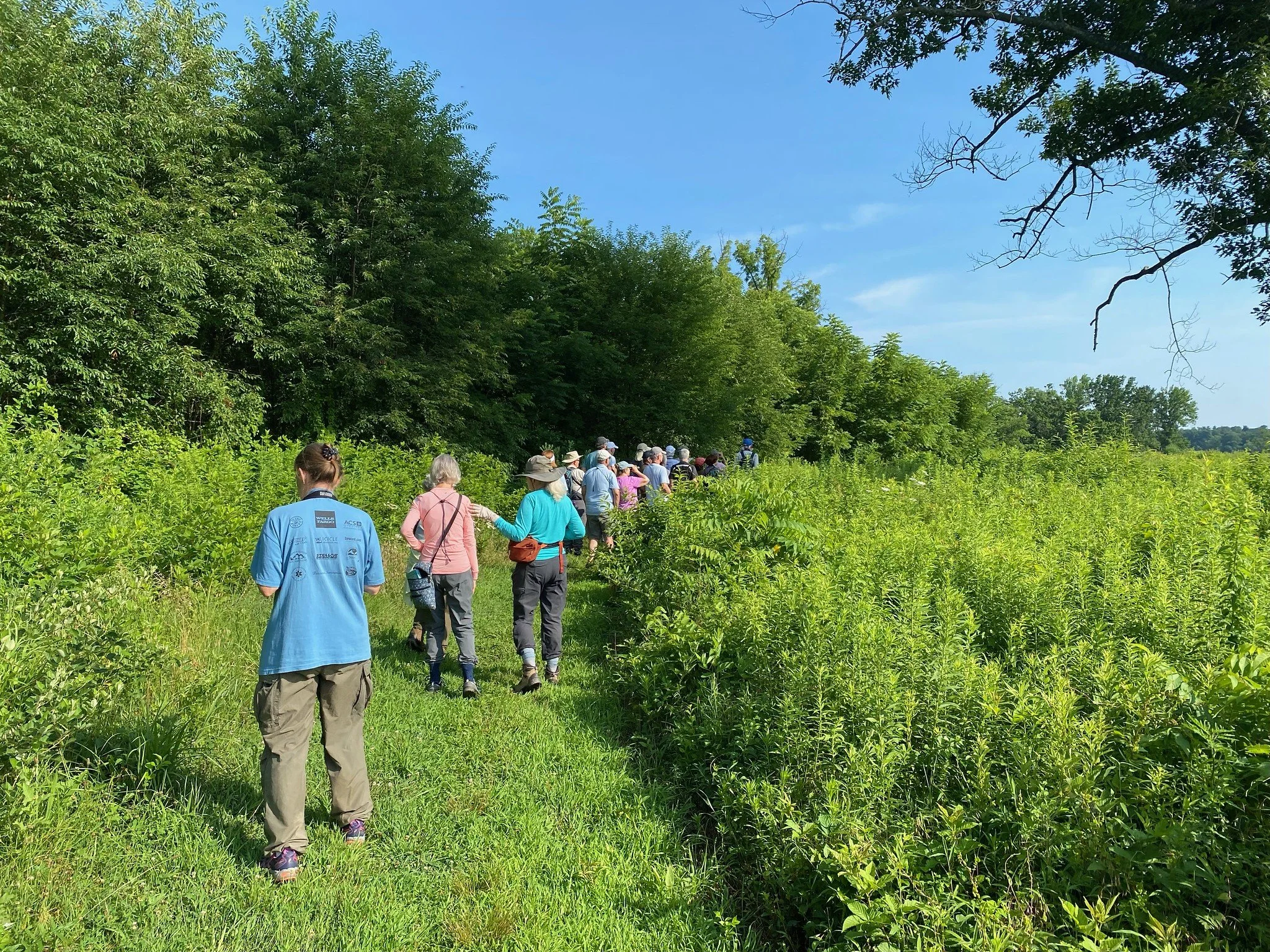 Group at meadow edge 7.14.2026