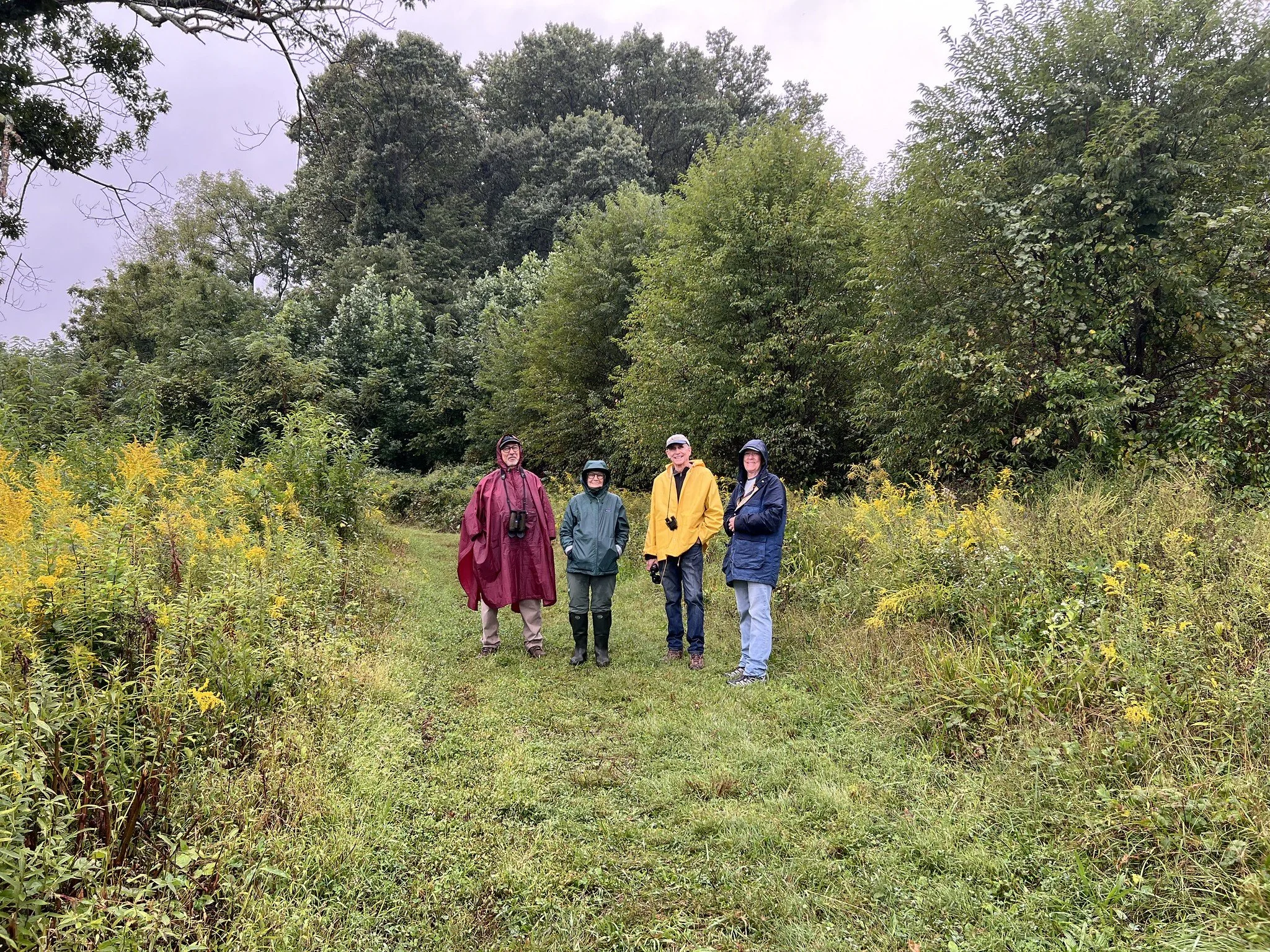 9/22/26 meadow with golden rod